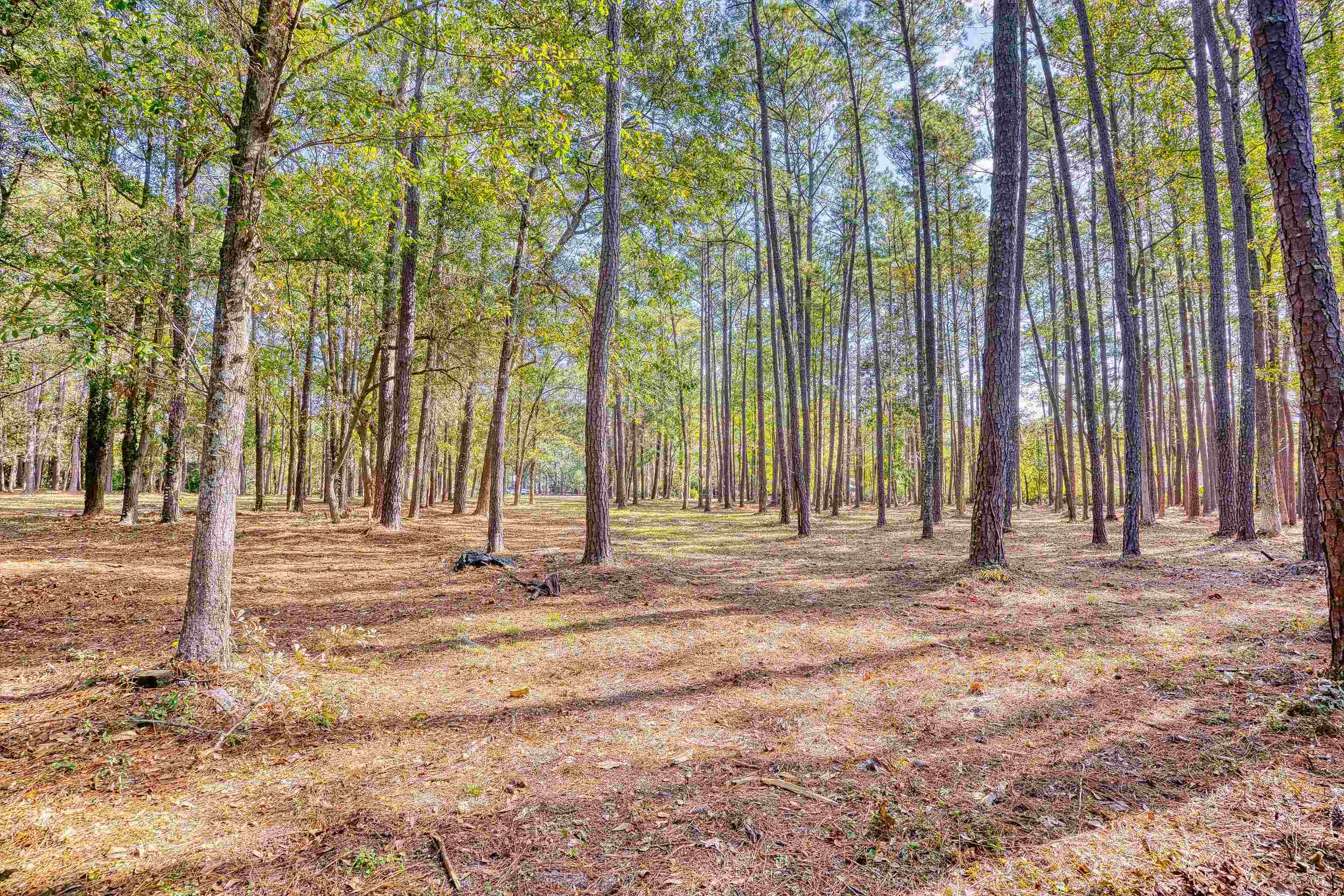 4250 Lilac Rd. Property Photo 17