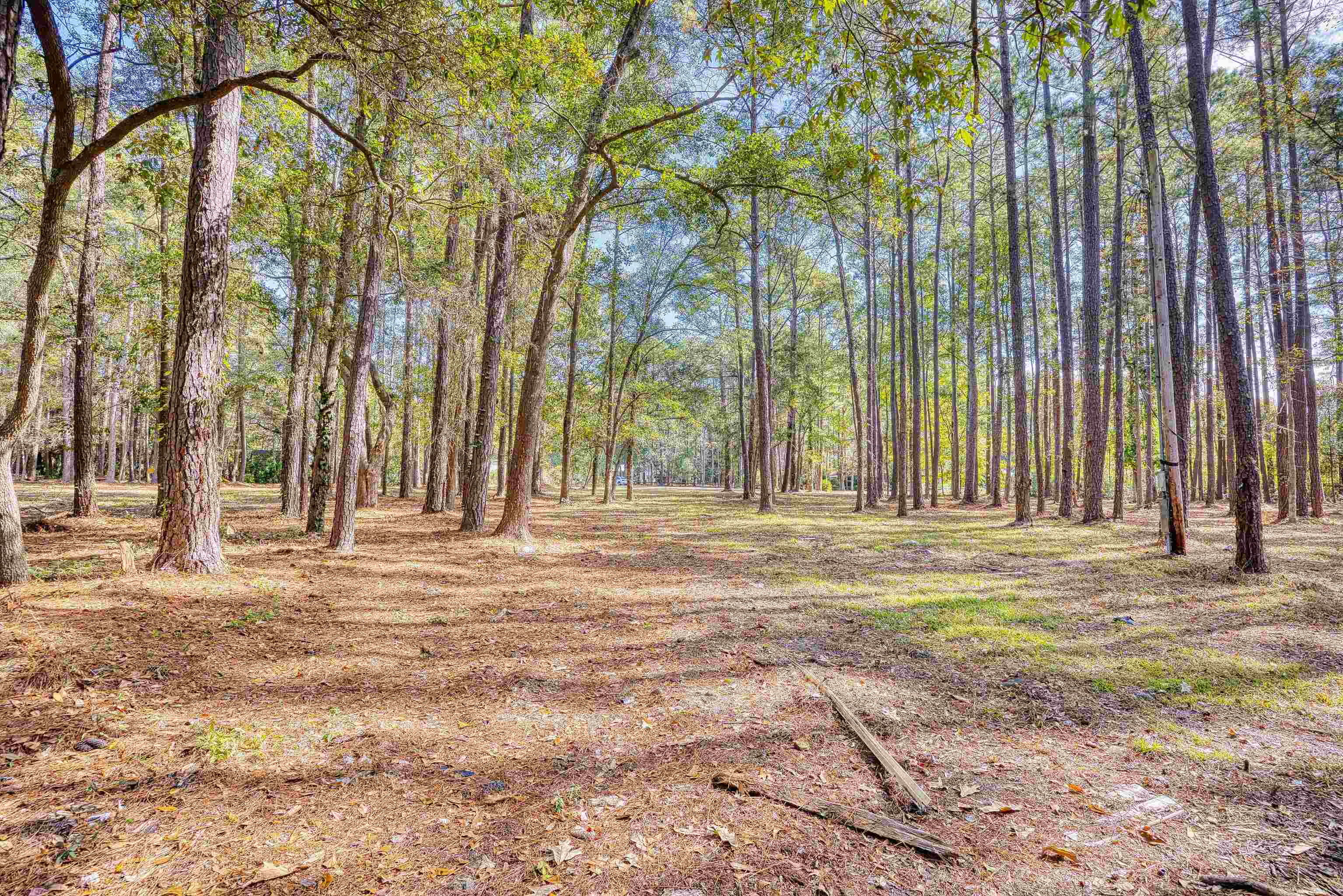 4250 Lilac Rd. Property Photo 18