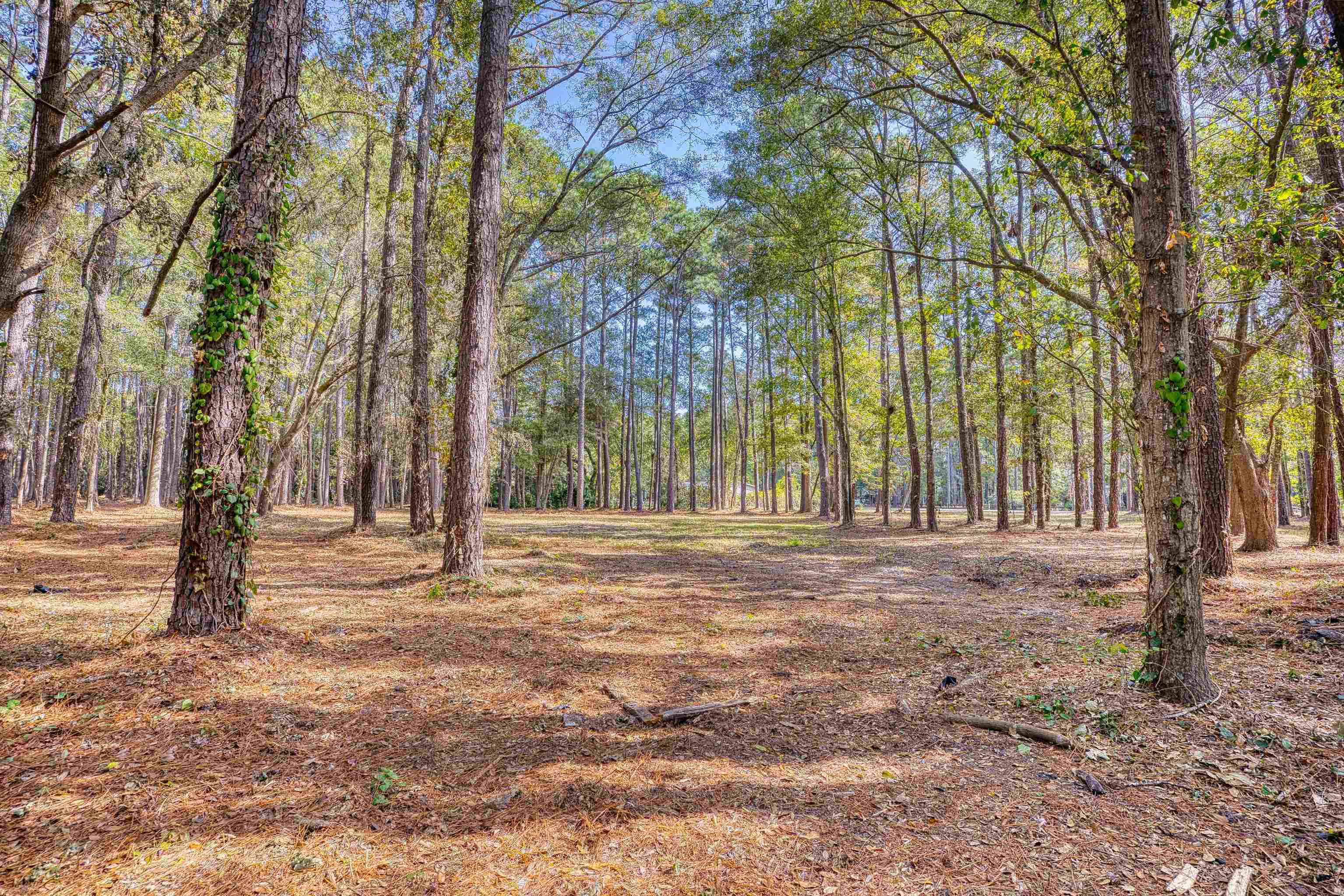 4250 Lilac Rd. Property Photo 19