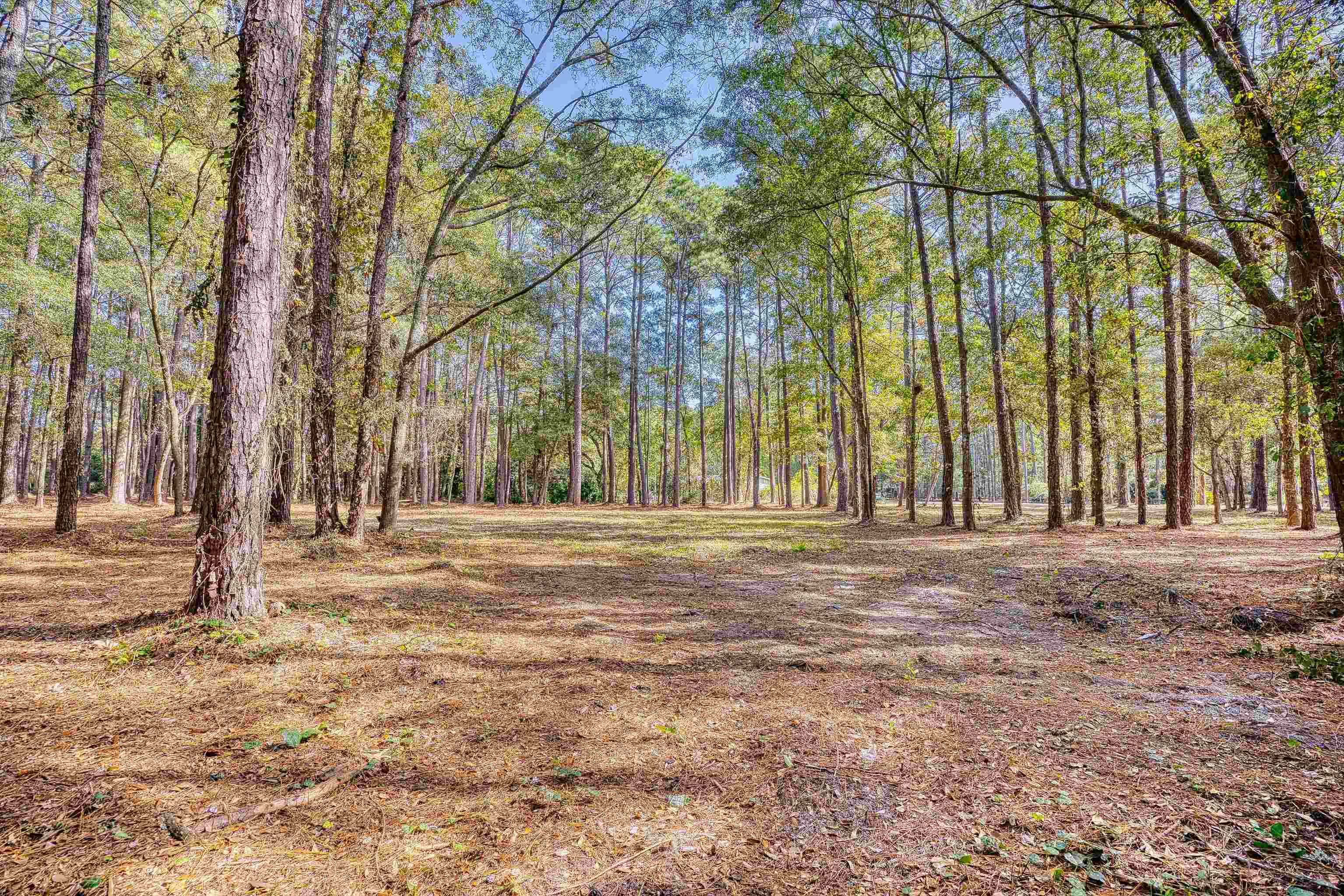 4250 Lilac Rd. Property Photo 20