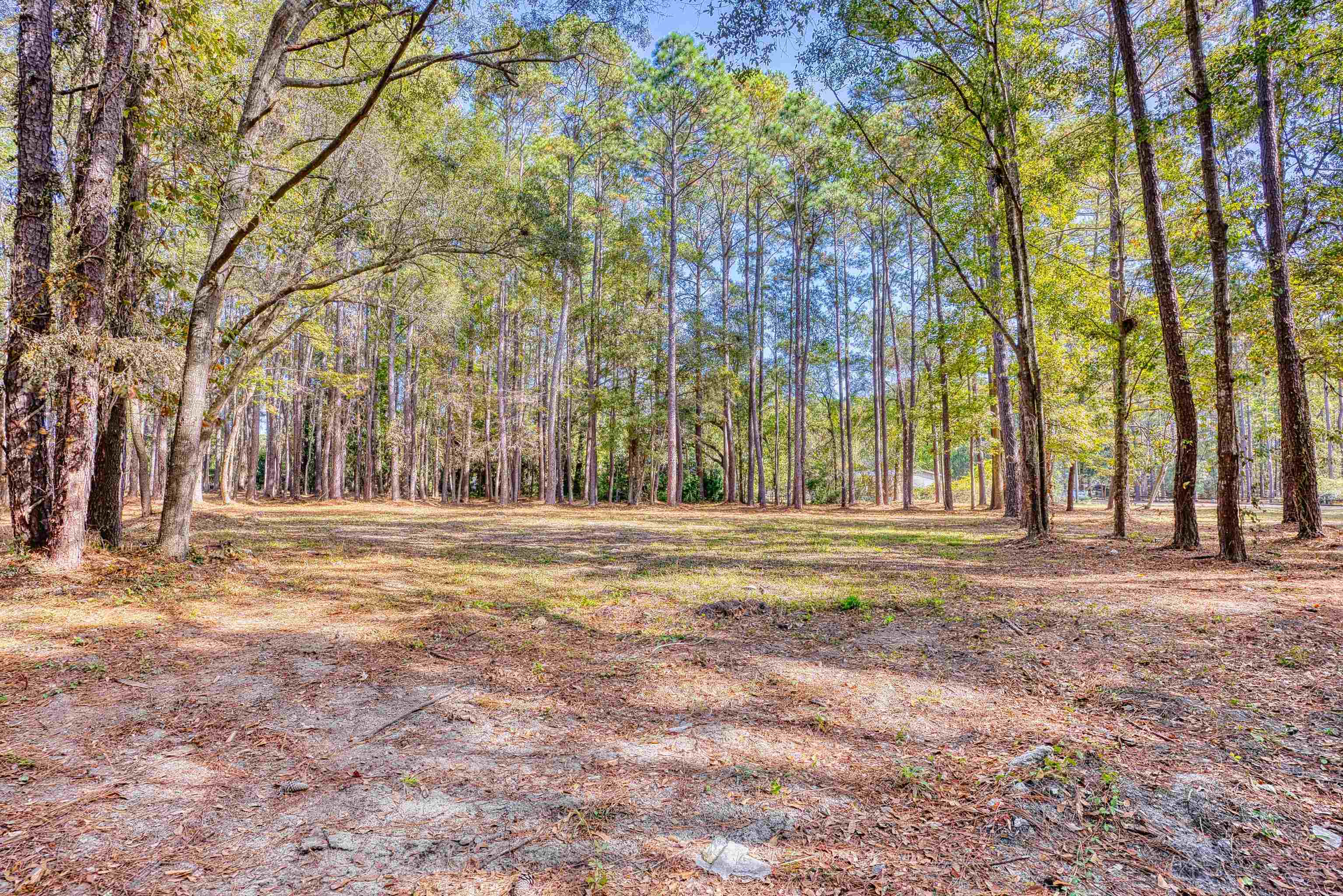 4250 Lilac Rd. Property Photo 21