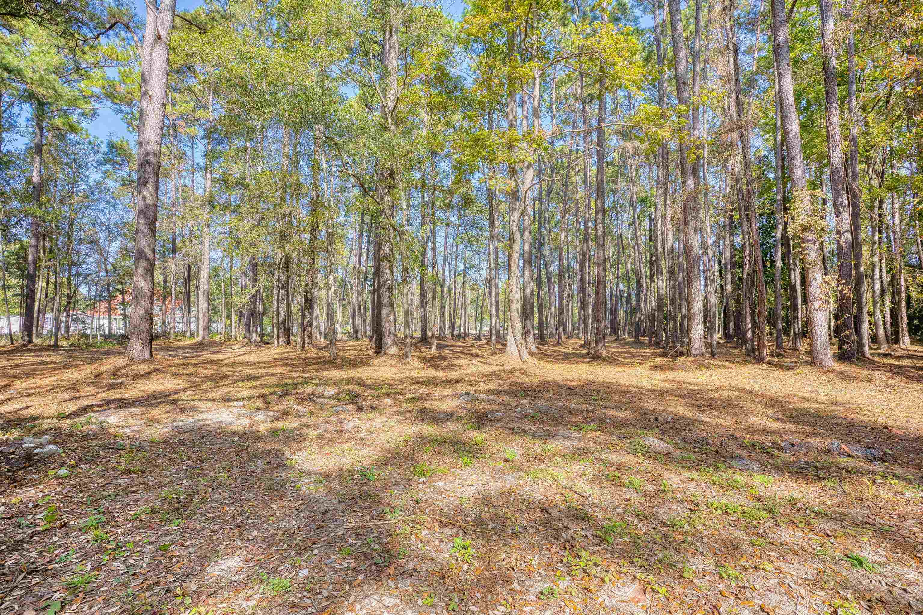 4250 Lilac Rd. Property Photo 22