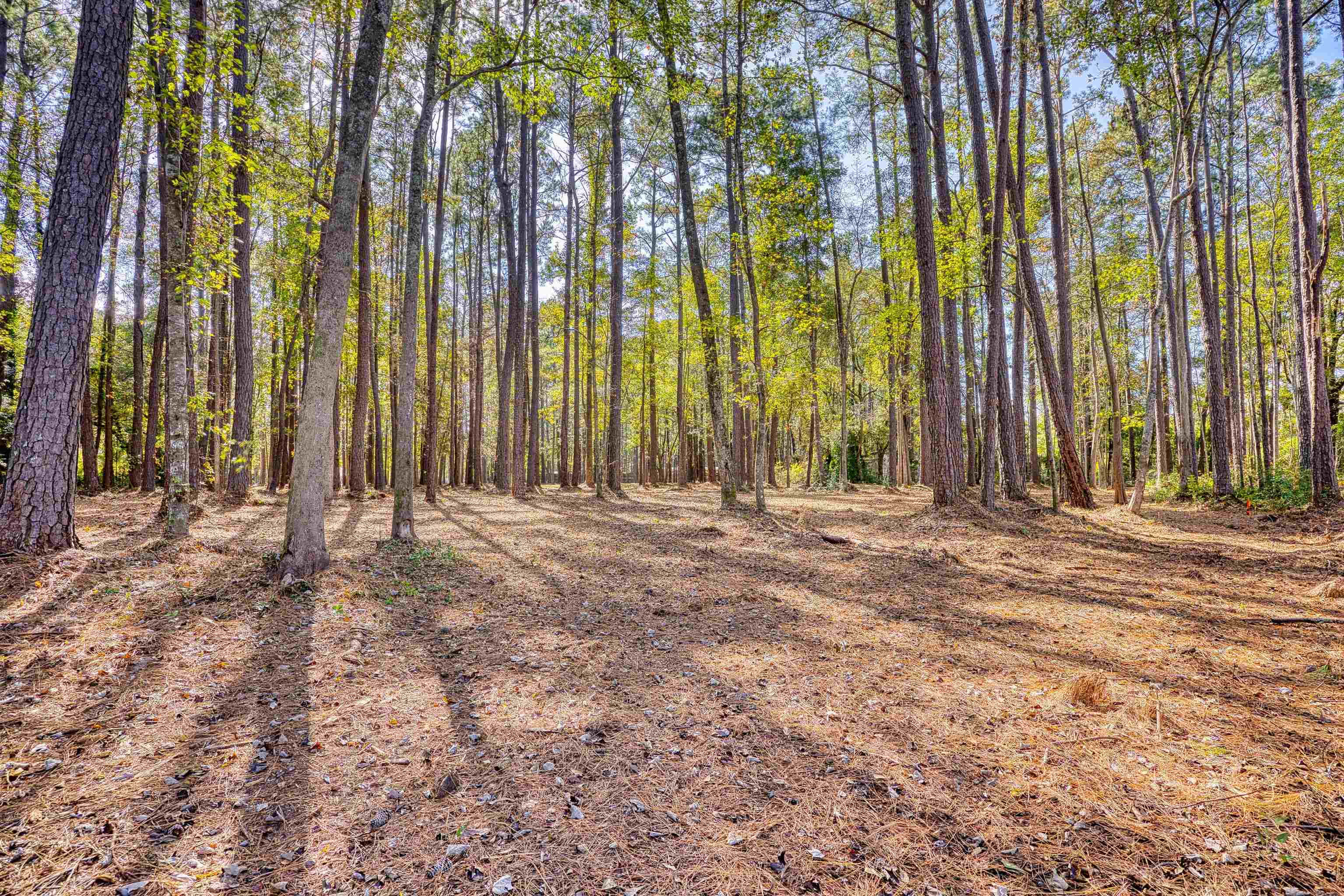 4250 Lilac Rd. Property Photo 23