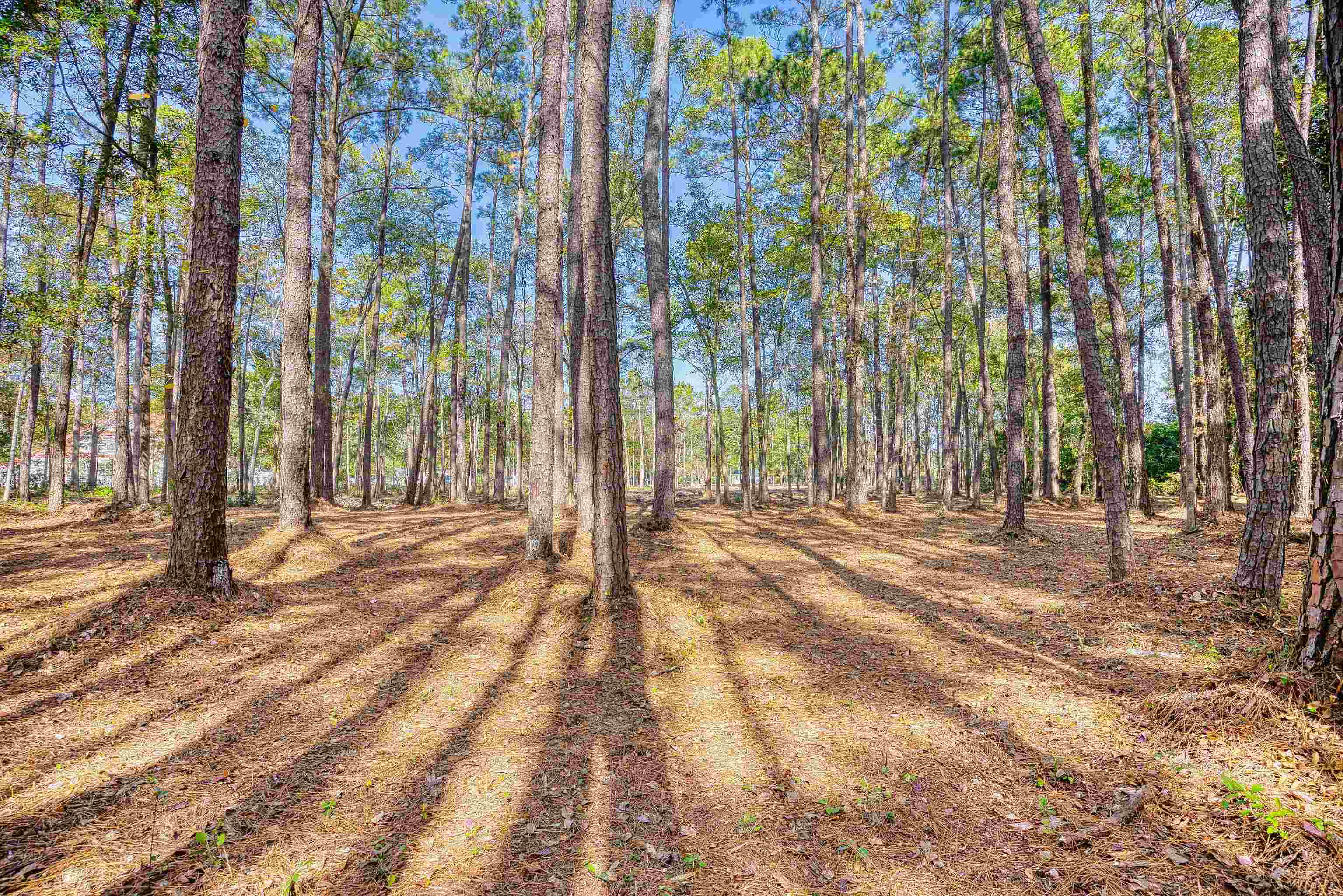 4250 Lilac Rd. Property Photo 24