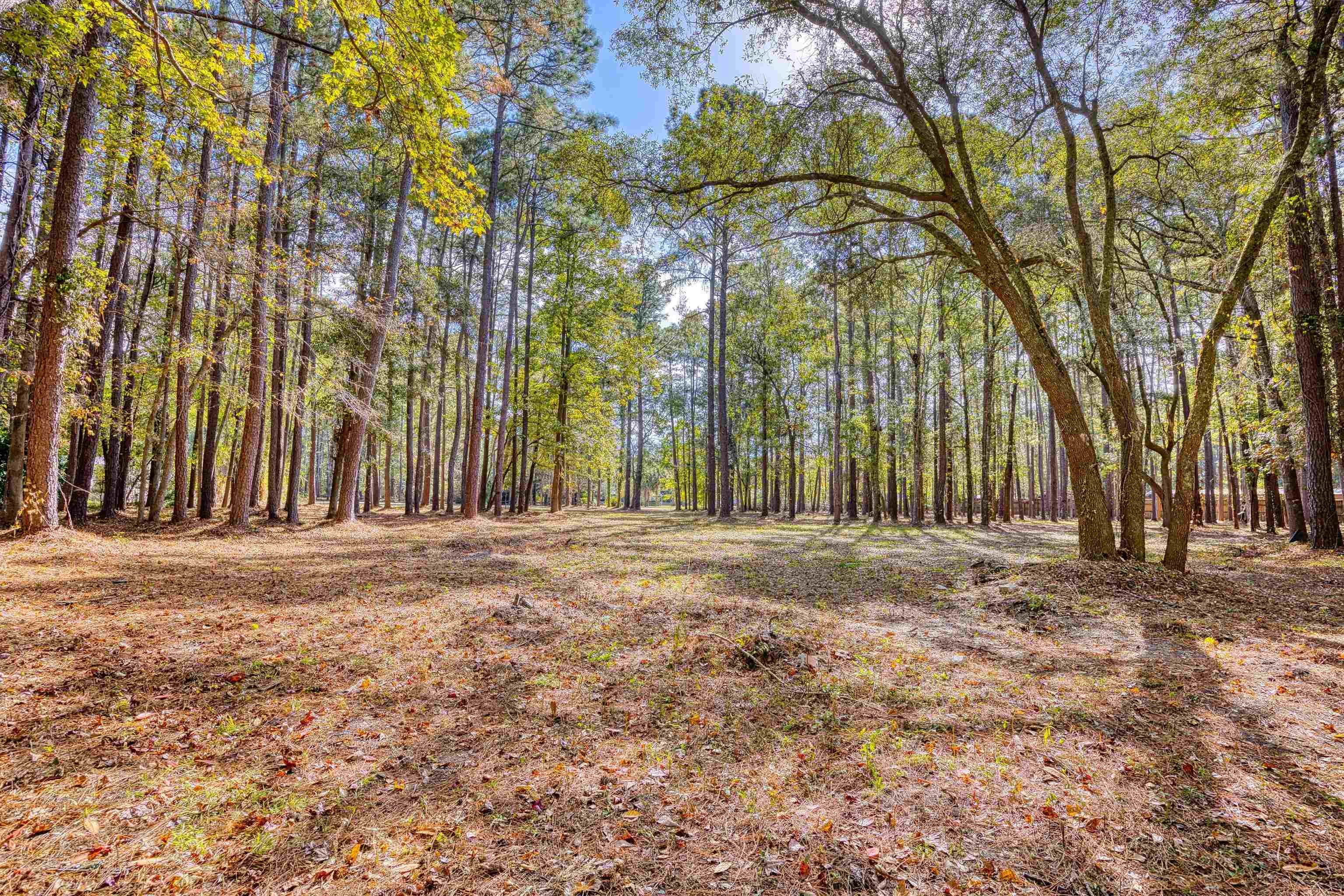 4250 Lilac Rd. Property Photo 25