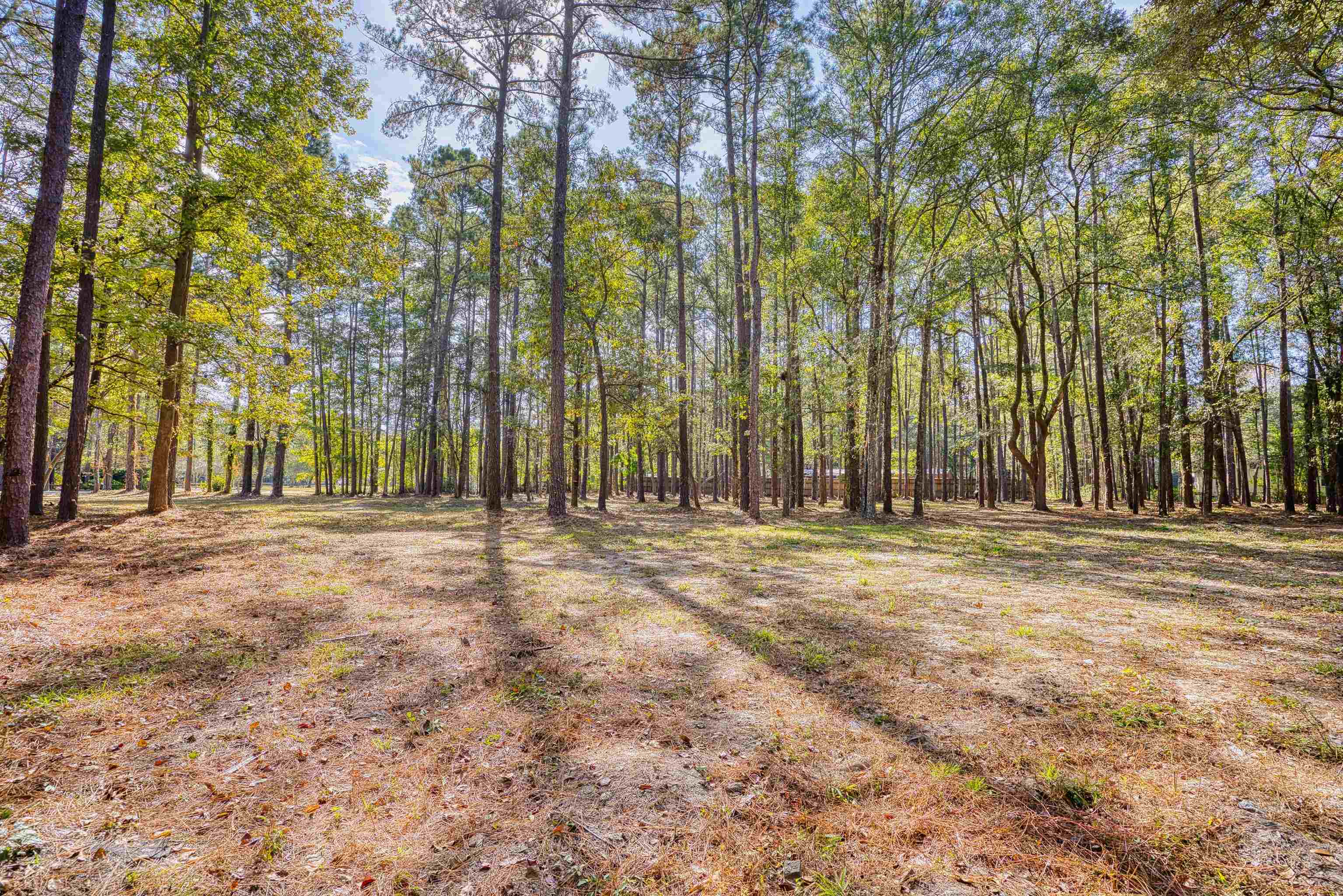 4250 Lilac Rd. Property Photo 26