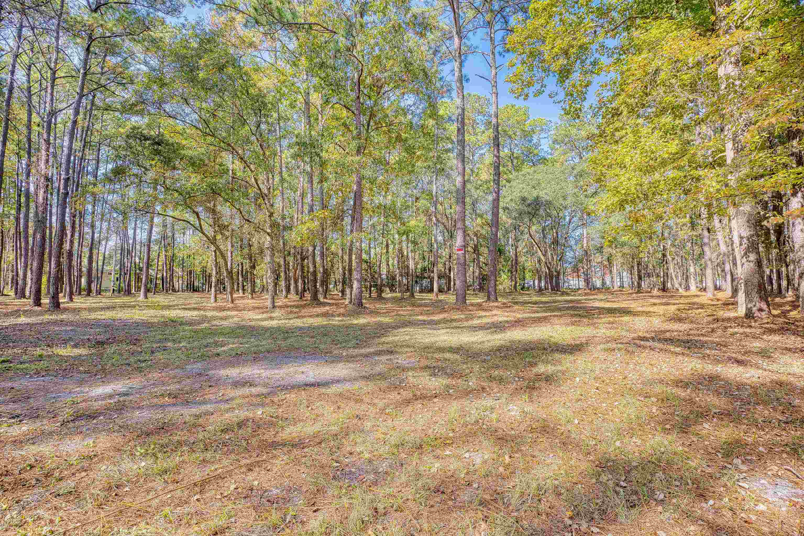 4250 Lilac Rd. Property Photo 28