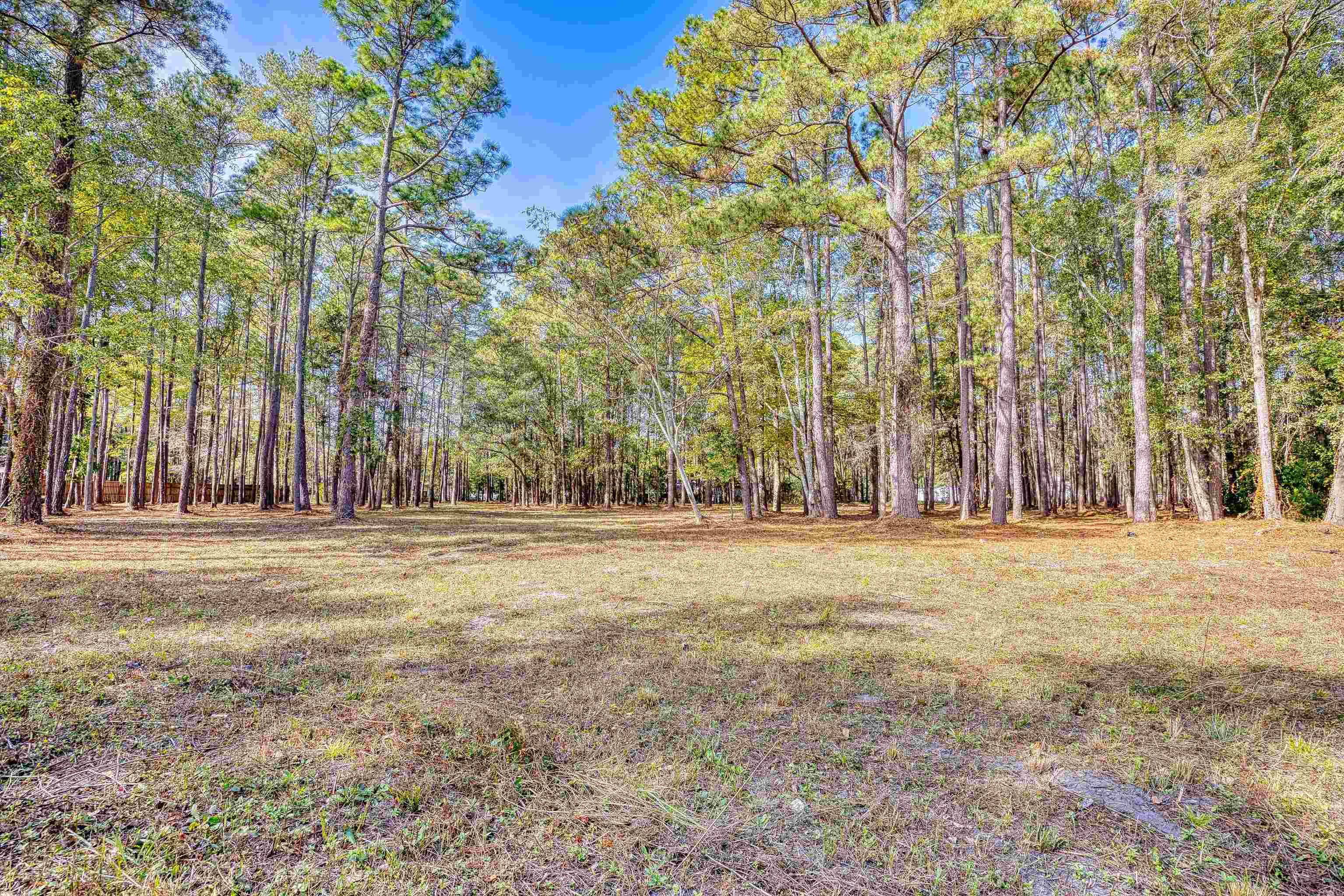 4250 Lilac Rd. Property Photo 29