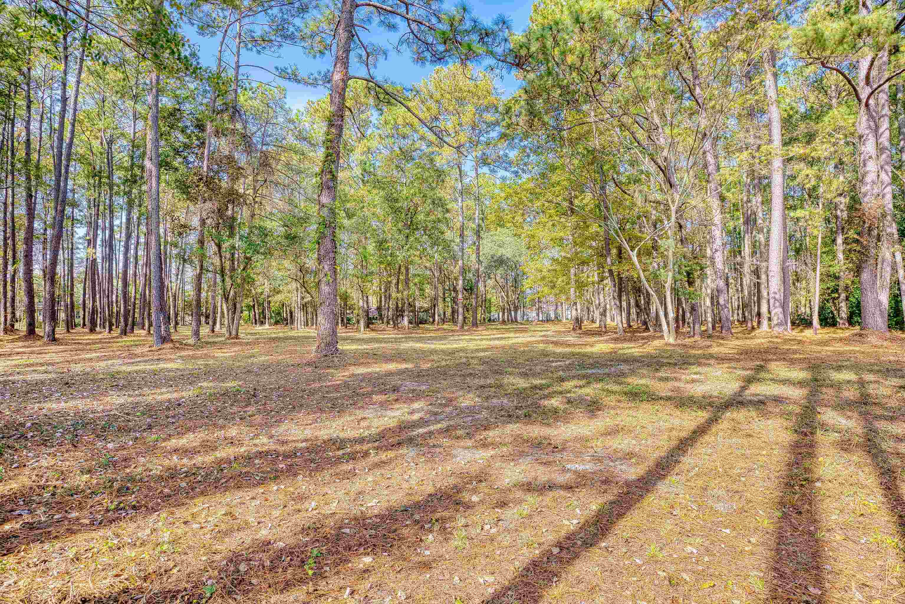 4250 Lilac Rd. Property Photo 30
