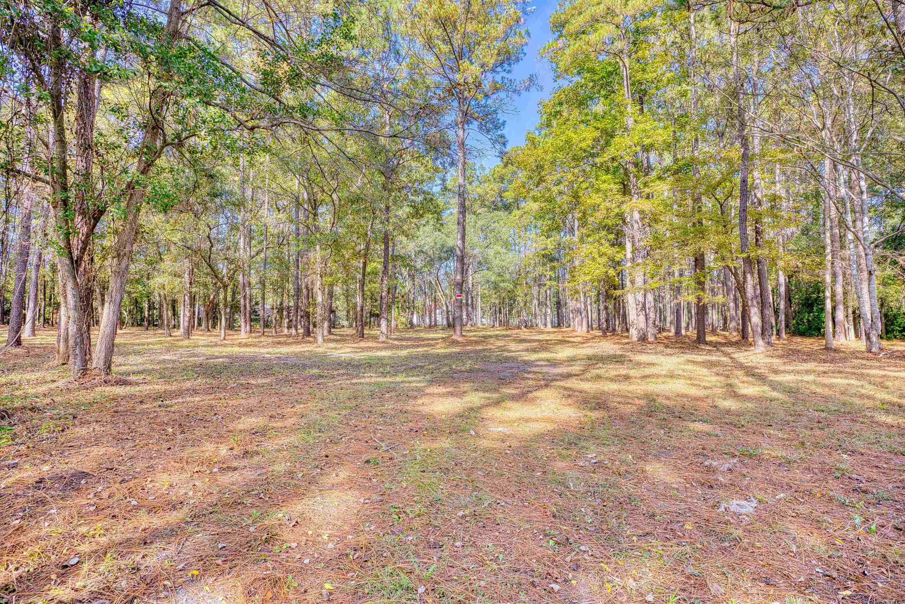 4250 Lilac Rd. Property Photo 31