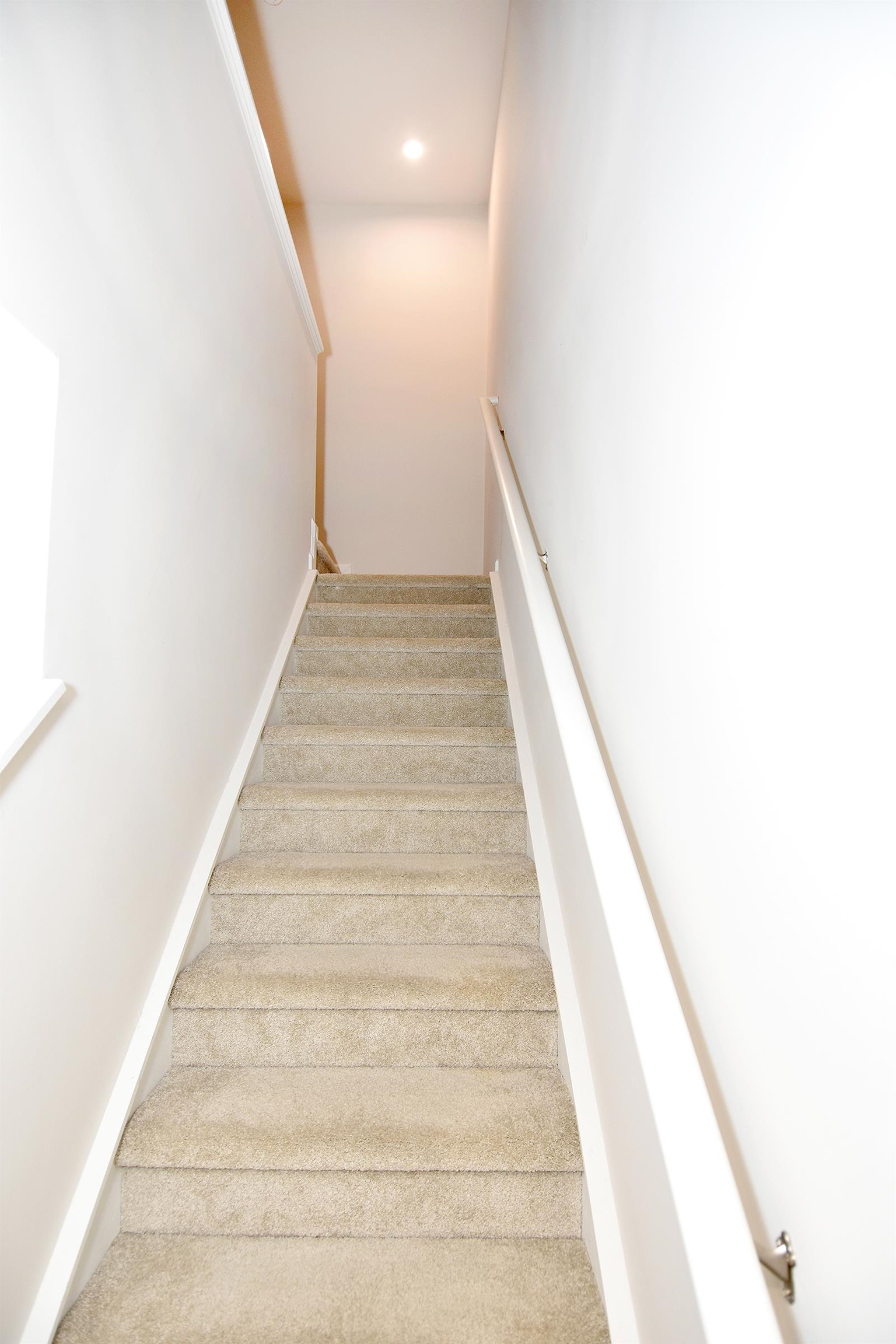 151 Villa Grande St. Property Photo 21