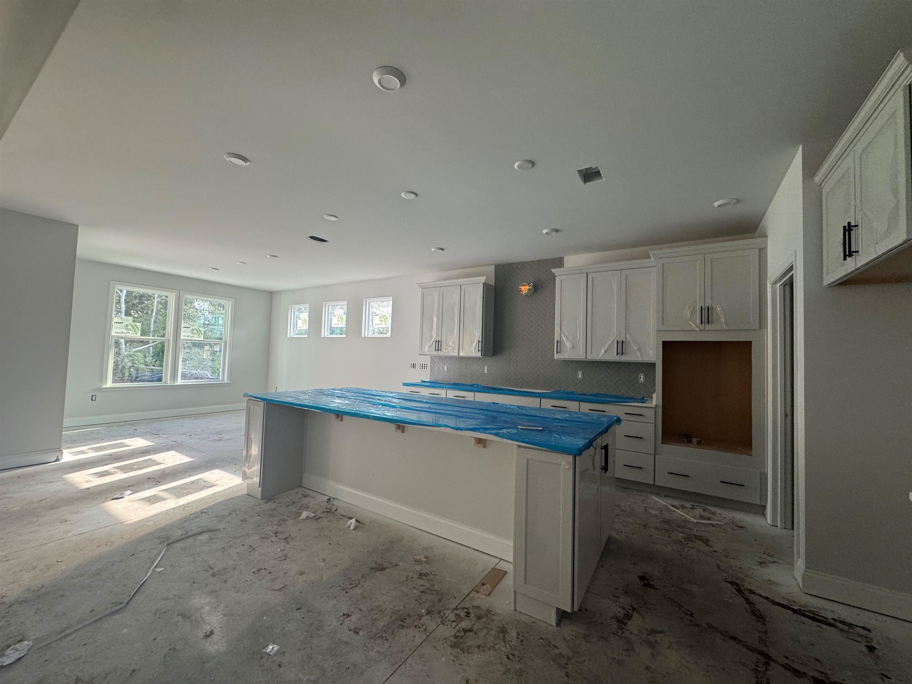 1593 Crested Iris Way Property Photo 2