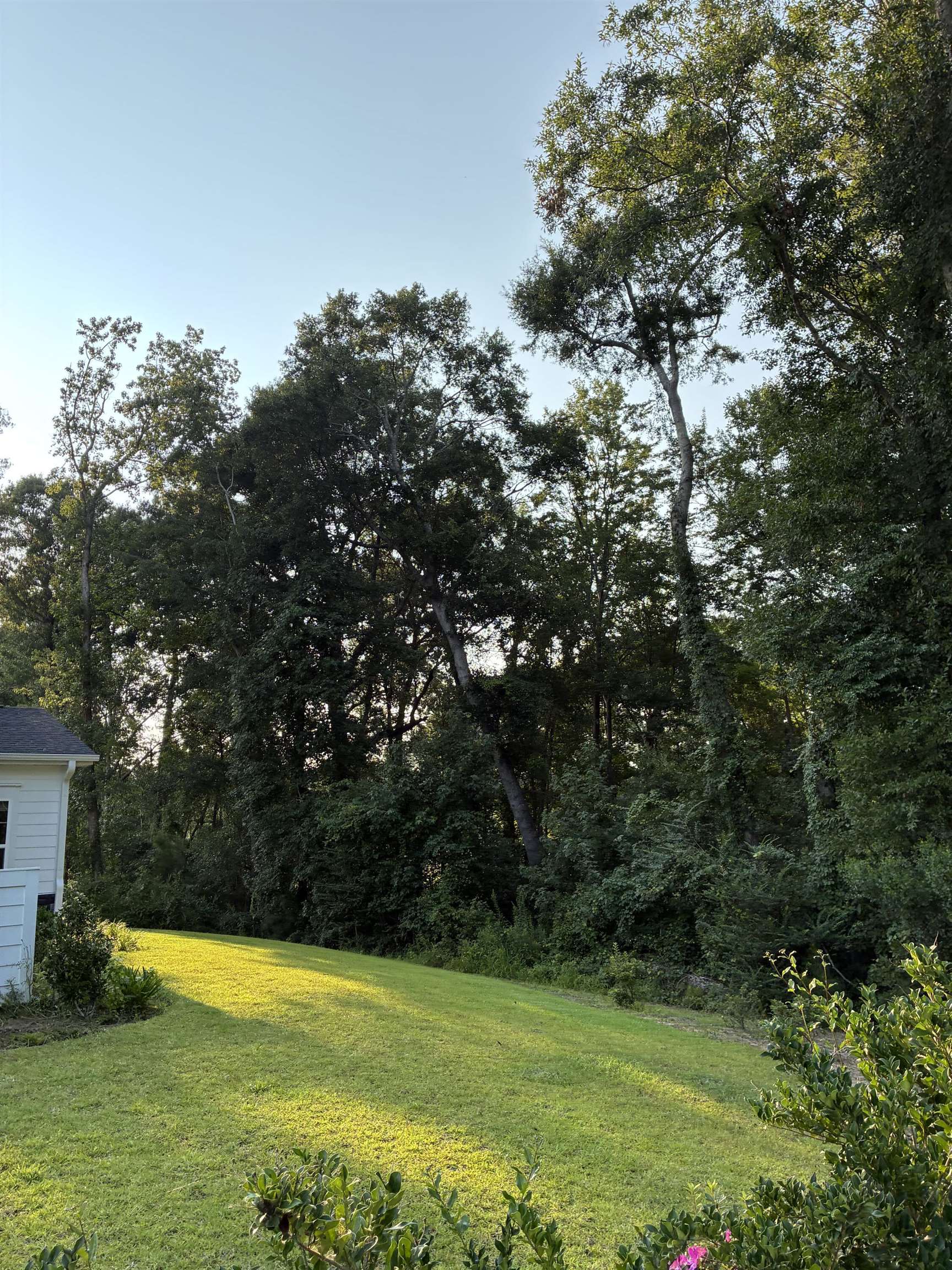 1004 Maccoa Dr. Property Photo 35