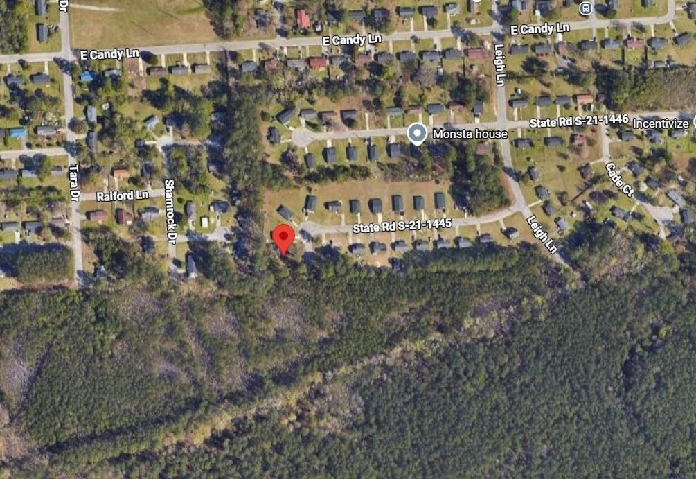 1001 Aunt Prissey Ct Property Photo 1