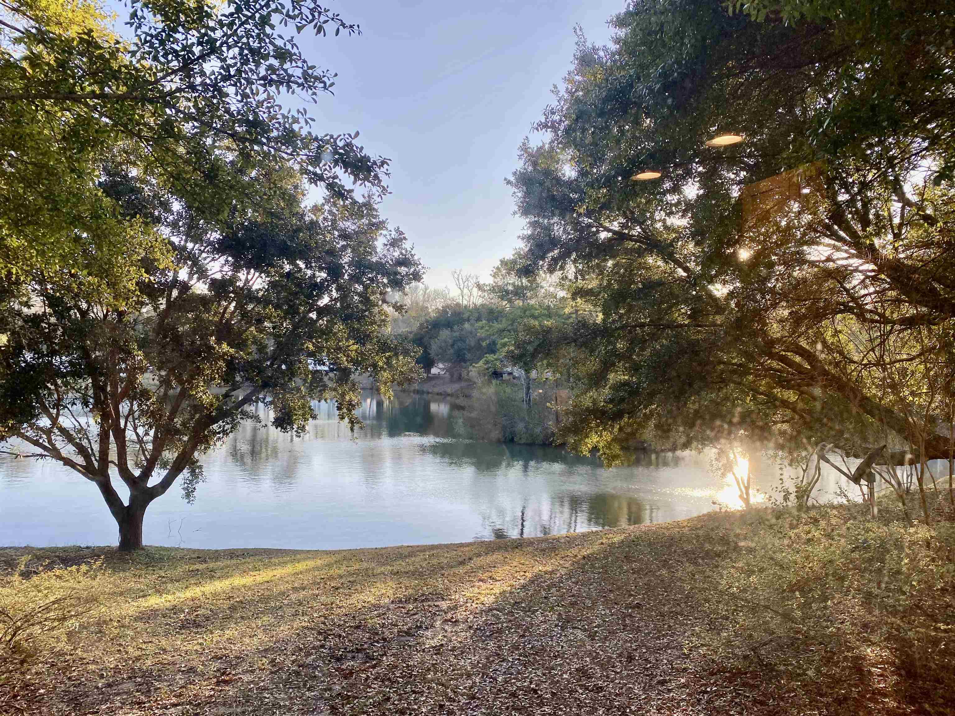 195 Hawks Nest Circle Property Photo 2