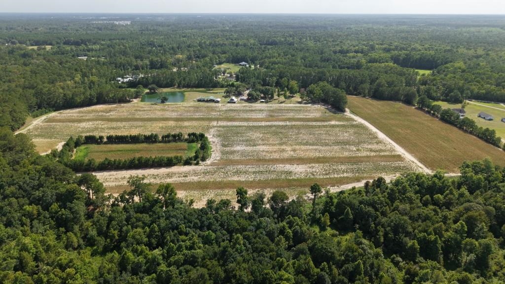 2757 Lees Landing Circle Property Photo 6