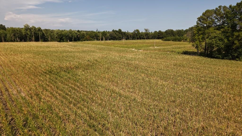 2757 Lees Landing Circle Property Photo 12