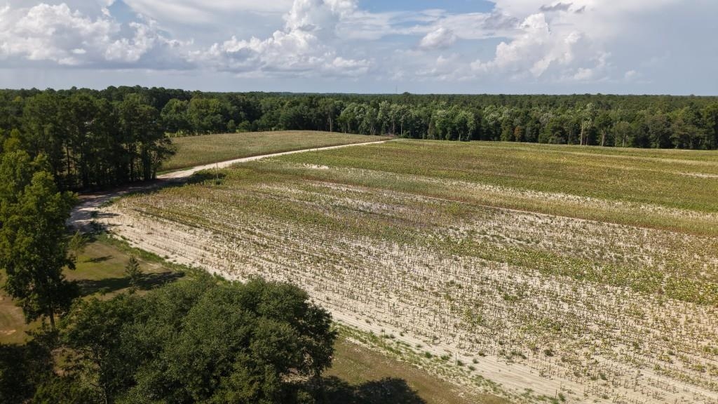2757 Lees Landing Circle Property Photo 15
