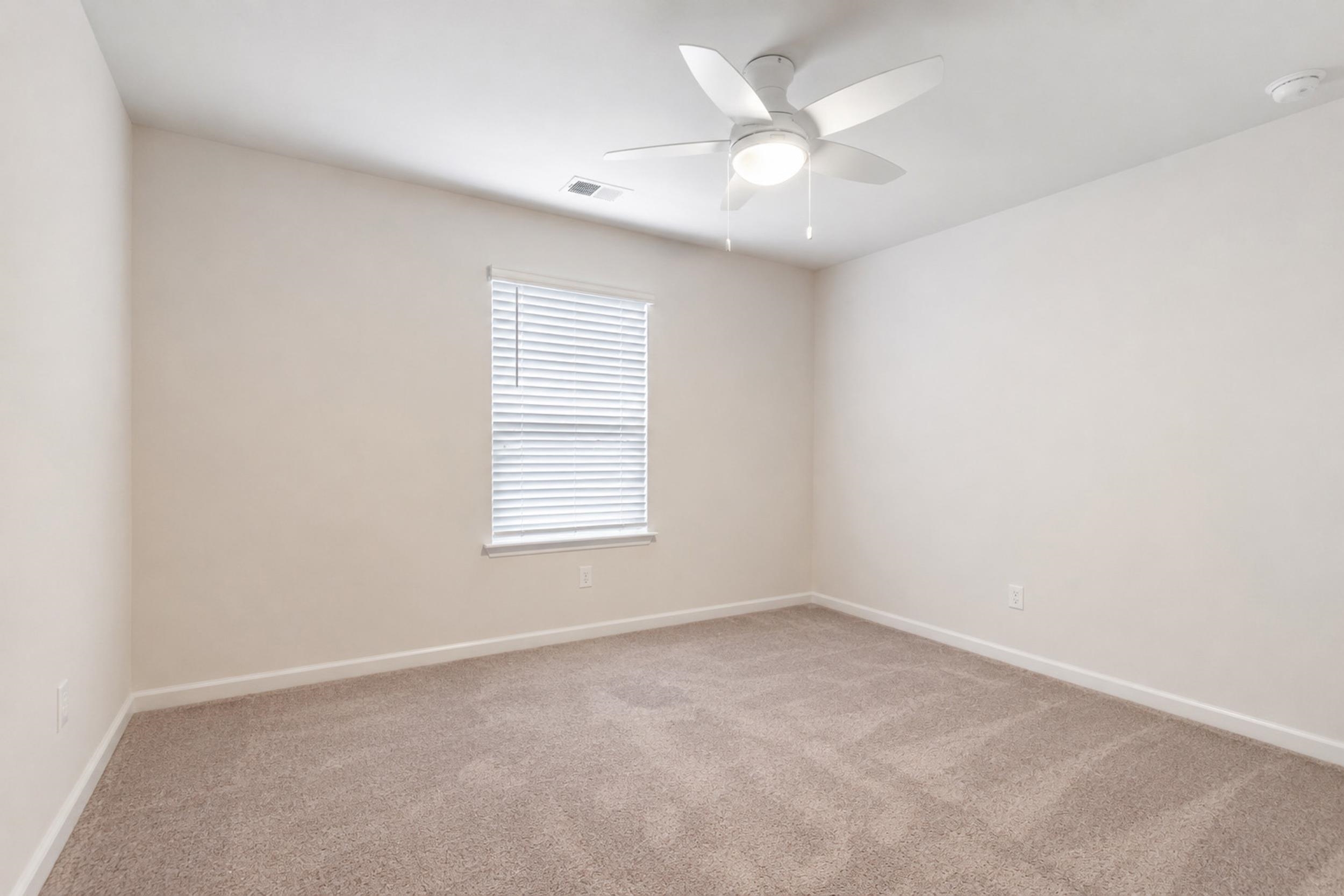 903 Freestyle Ct. Property Photo 15
