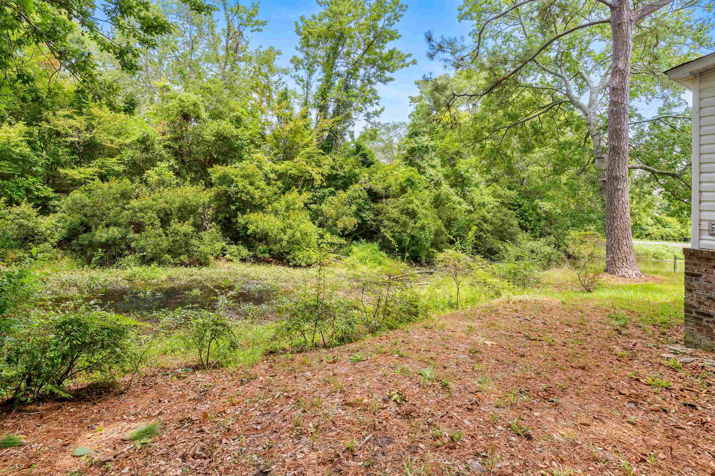 2409 Horne Ave. Property Photo 36