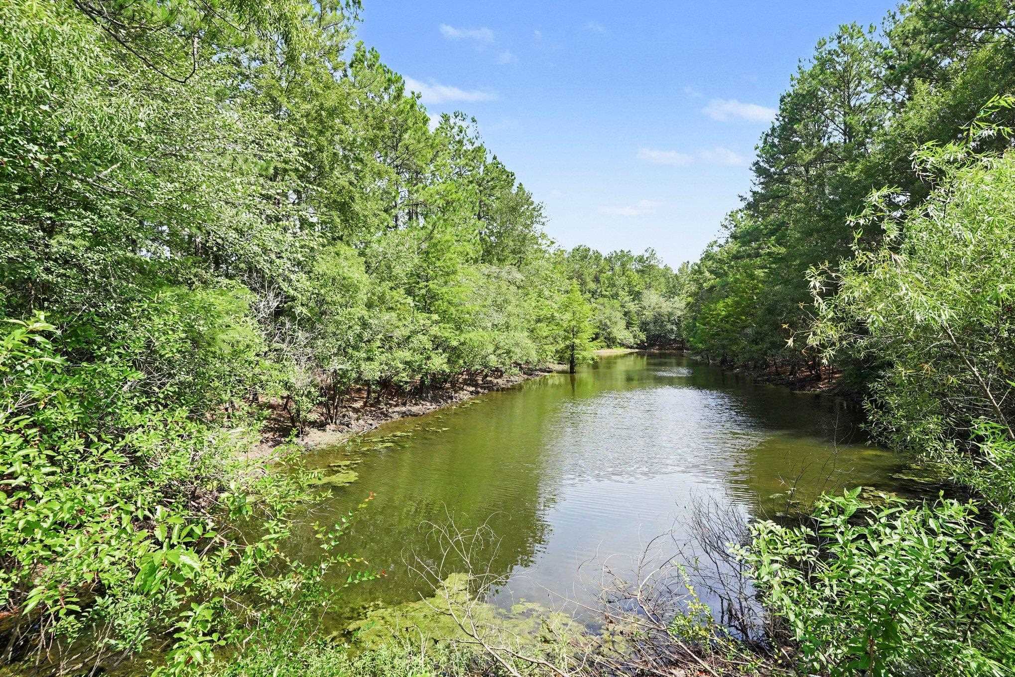 3042 Honey Clover Ct. Property Photo 36