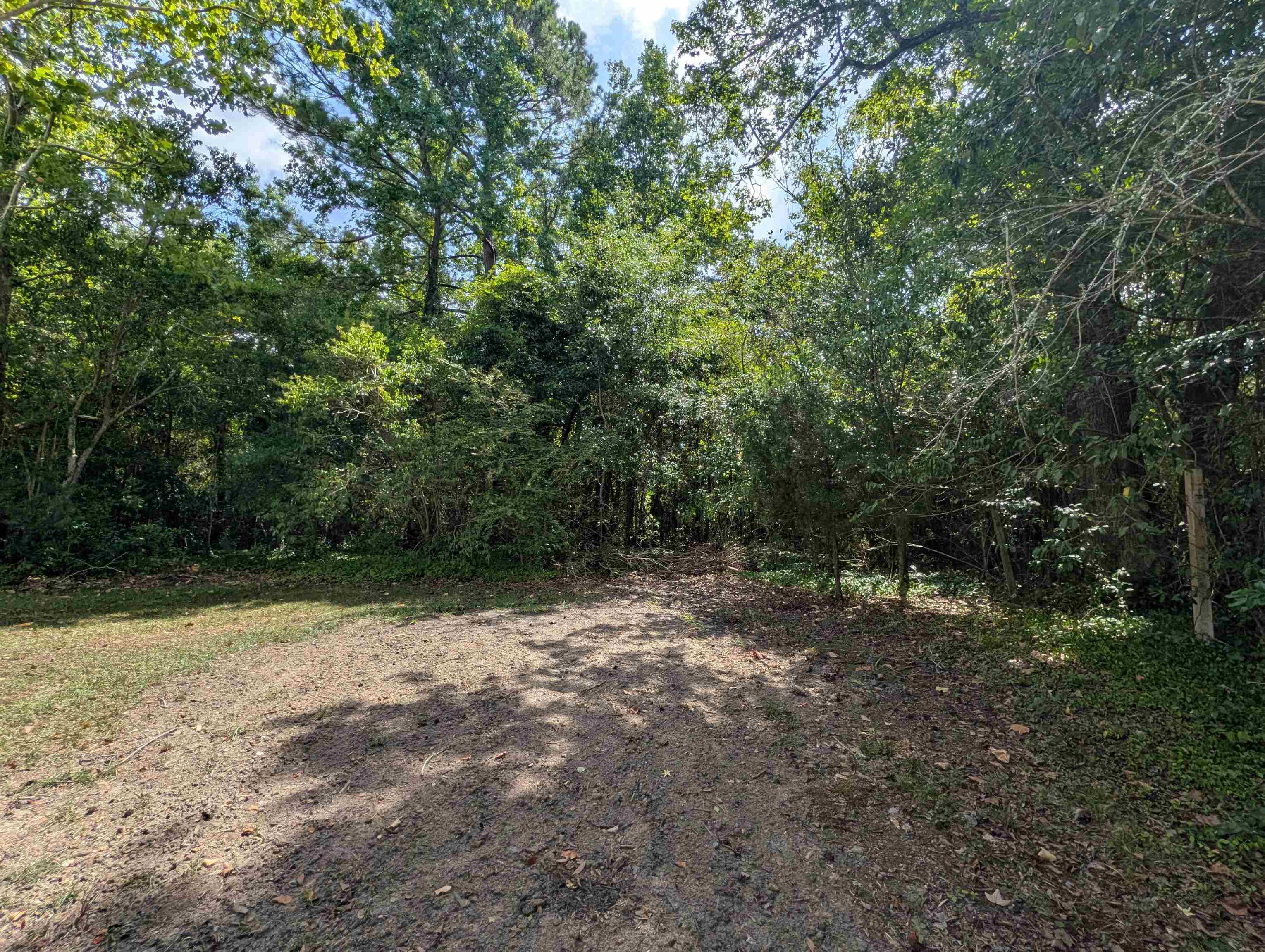 417 S Magnolia Ave. Property Photo 21