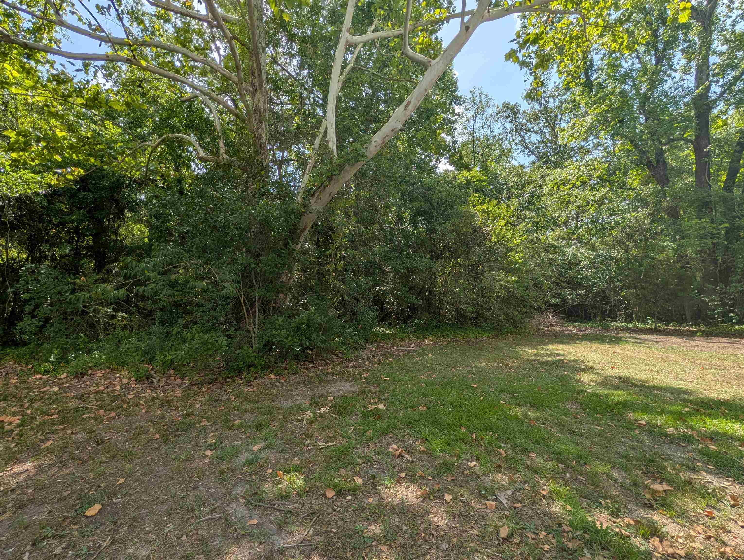 417 S Magnolia Ave. Property Photo 22