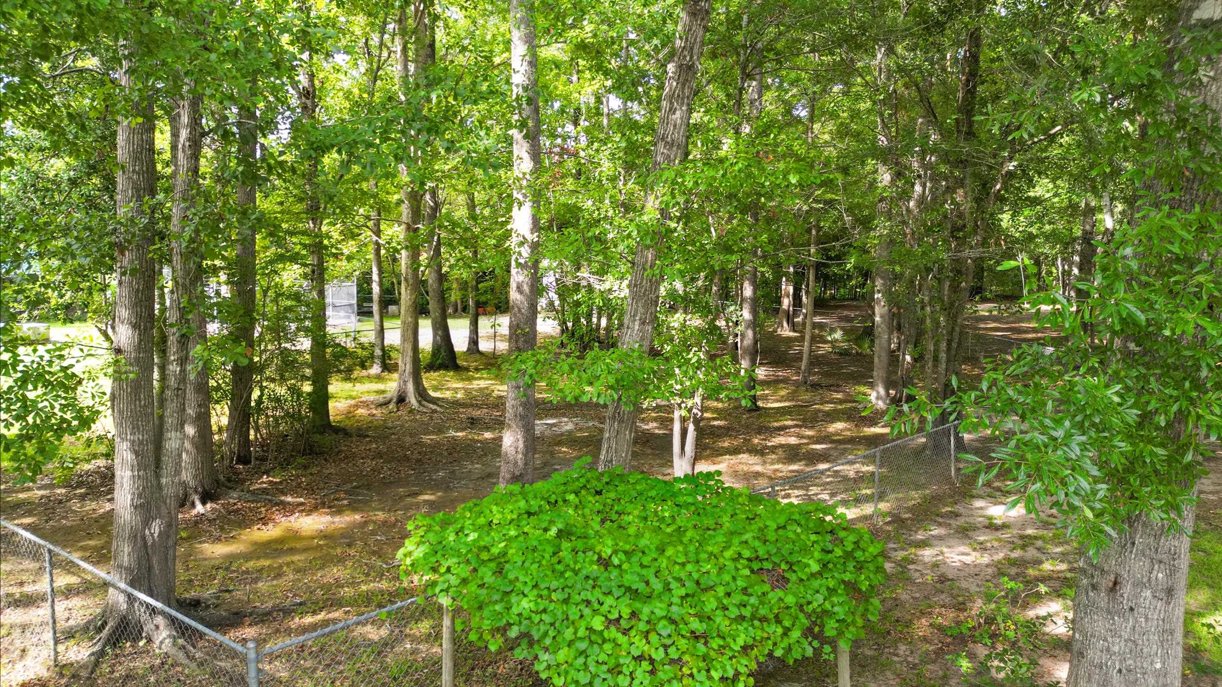 140 Windmeadows Dr. Property Photo 44