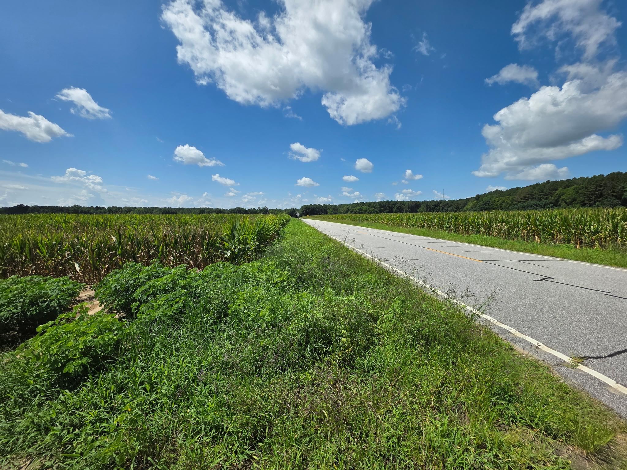 Dunbar Highway Property Photo 4