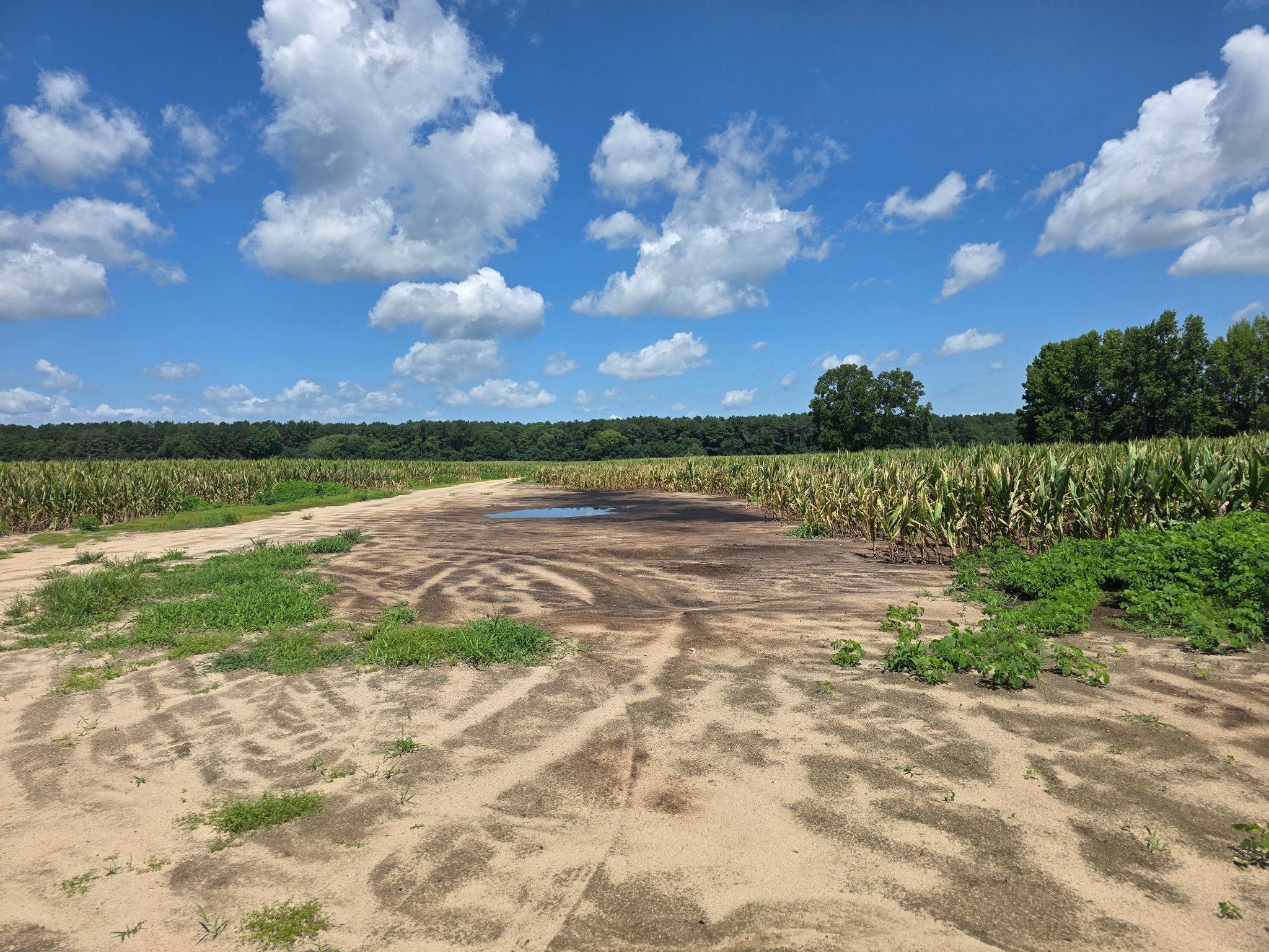 Dunbar Highway Property Photo 10
