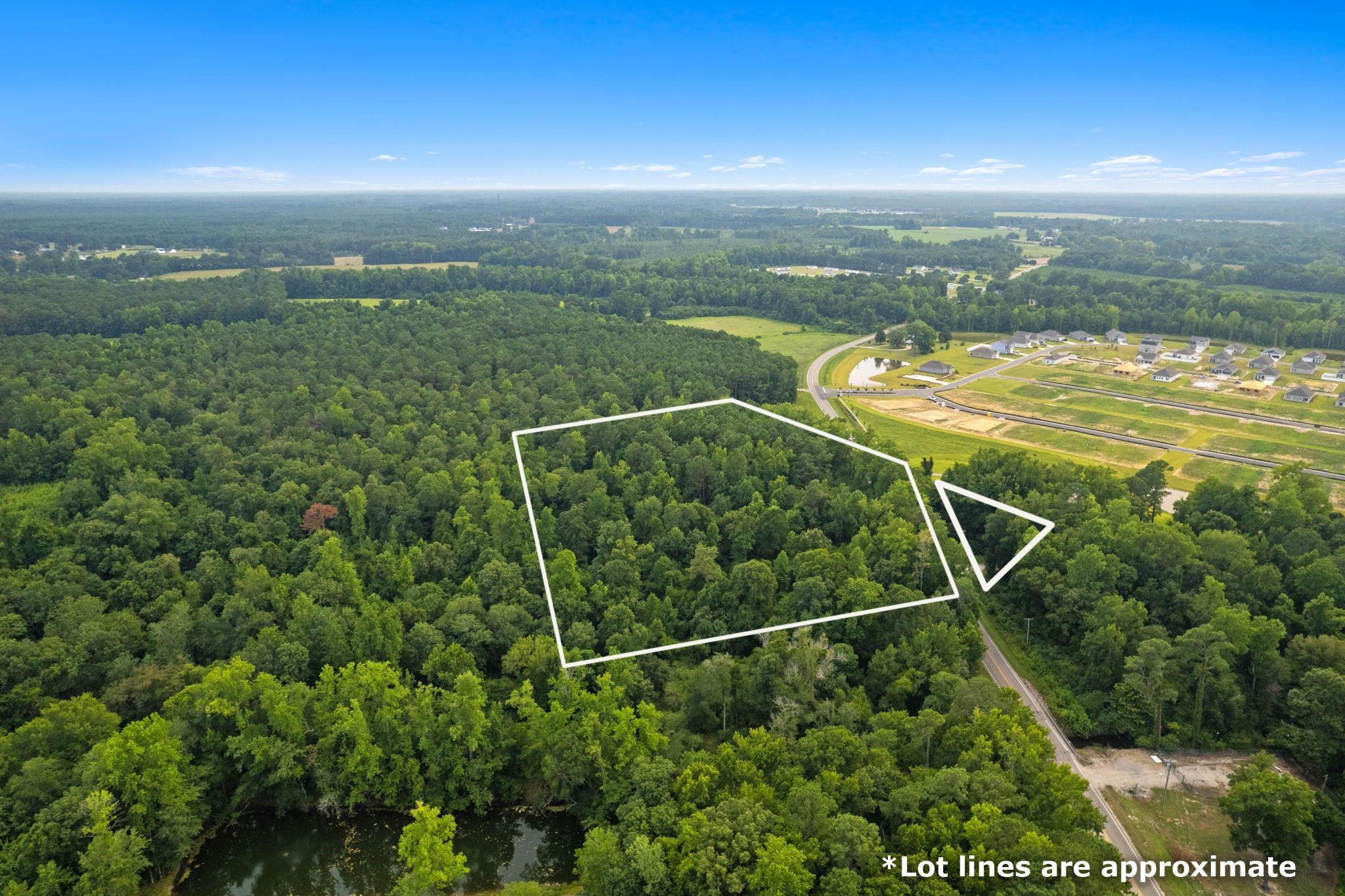 Tbd Highway 45 Property Photo 2