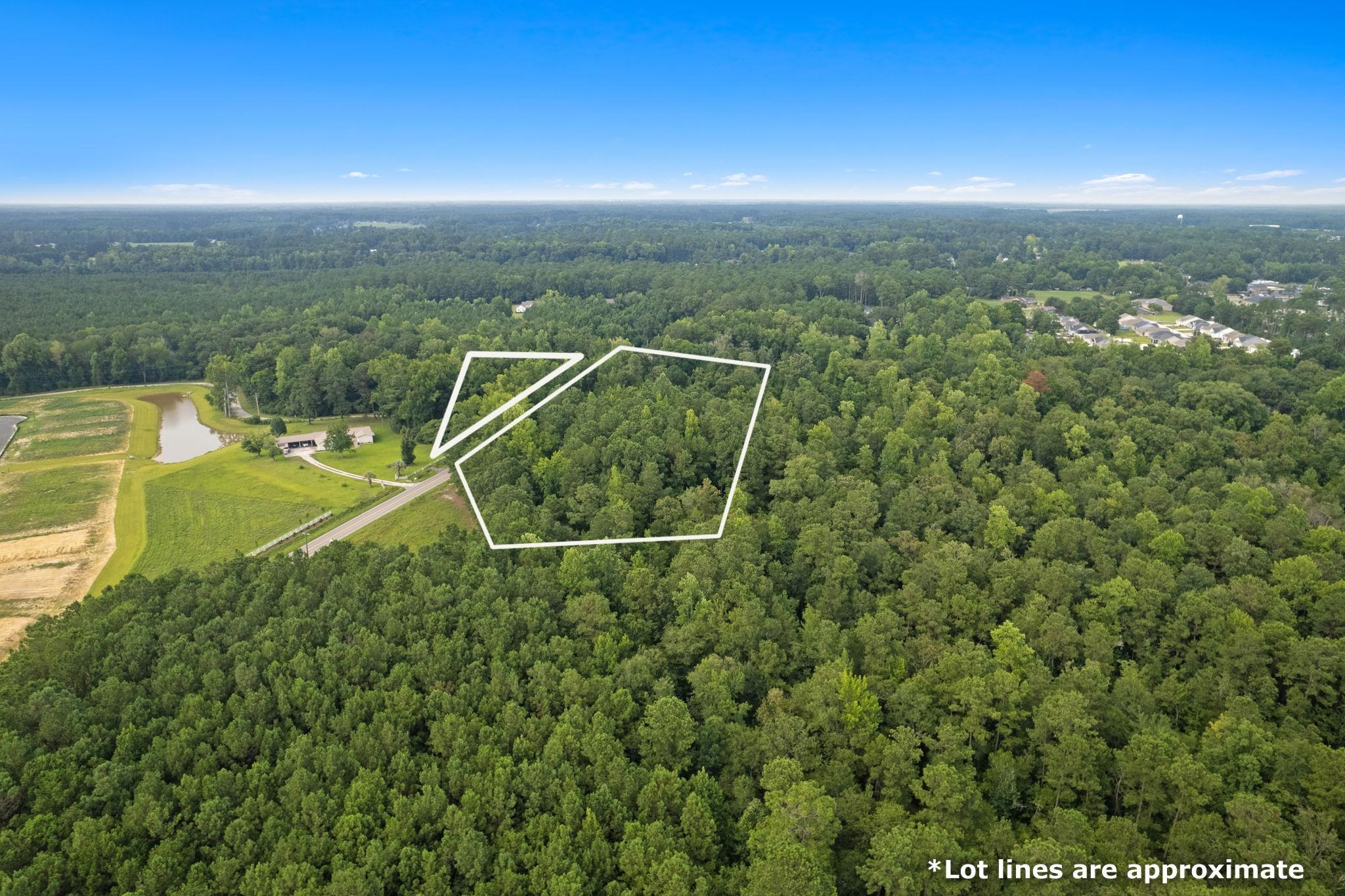 Tbd Highway 45 Property Photo 3