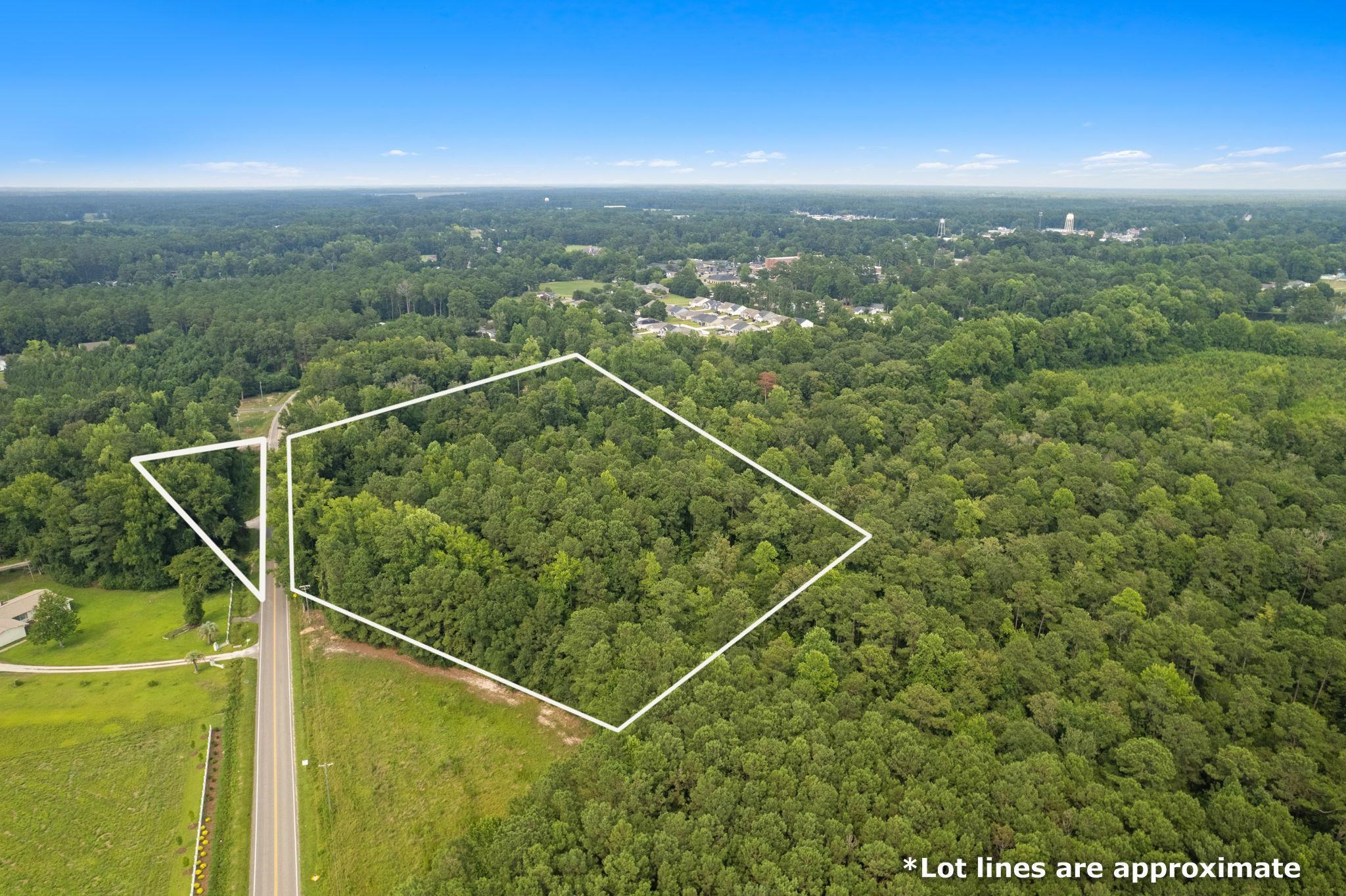Tbd Highway 45 Property Photo 4