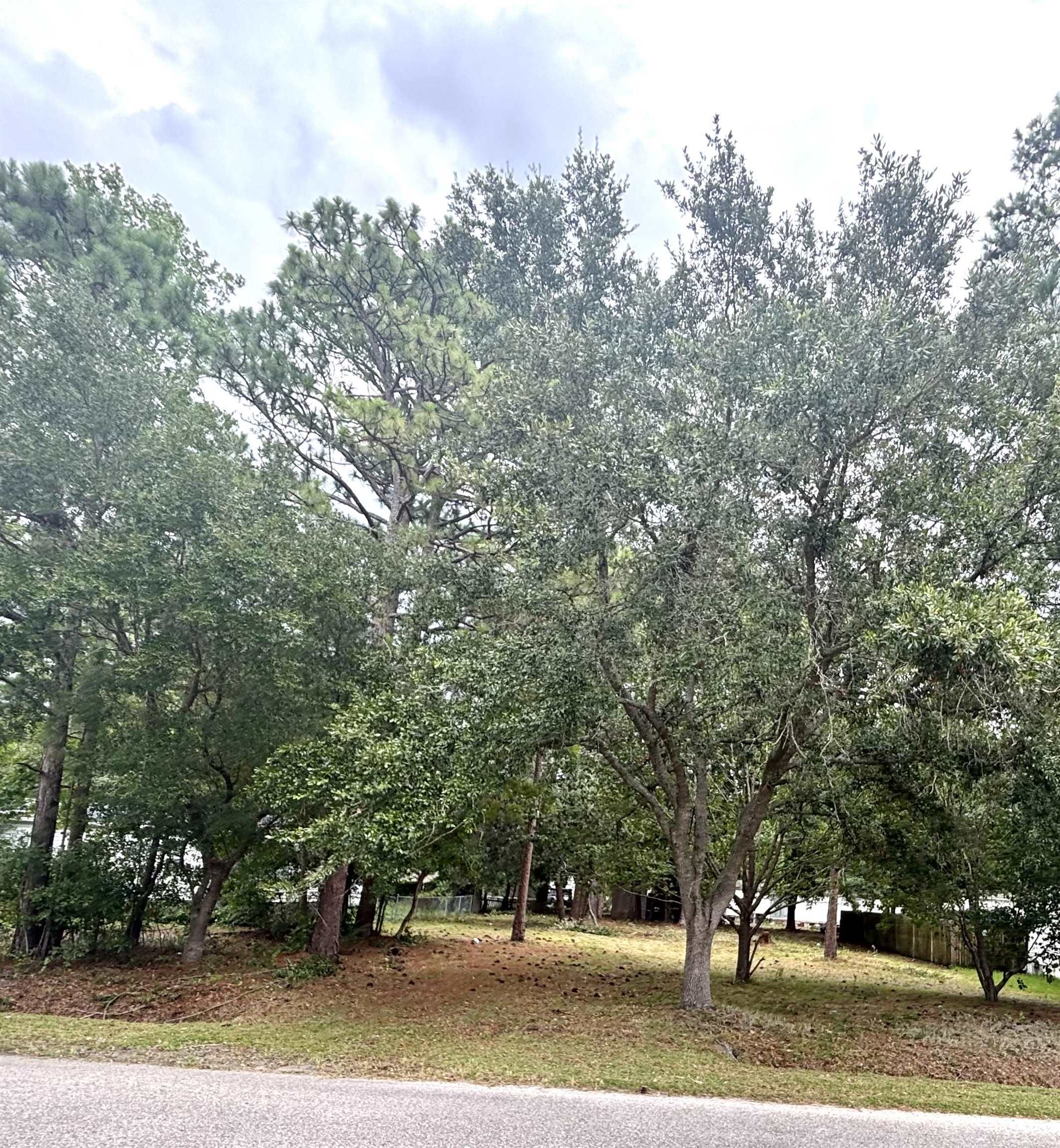 108 Sassafras Ln. Property Photo 1