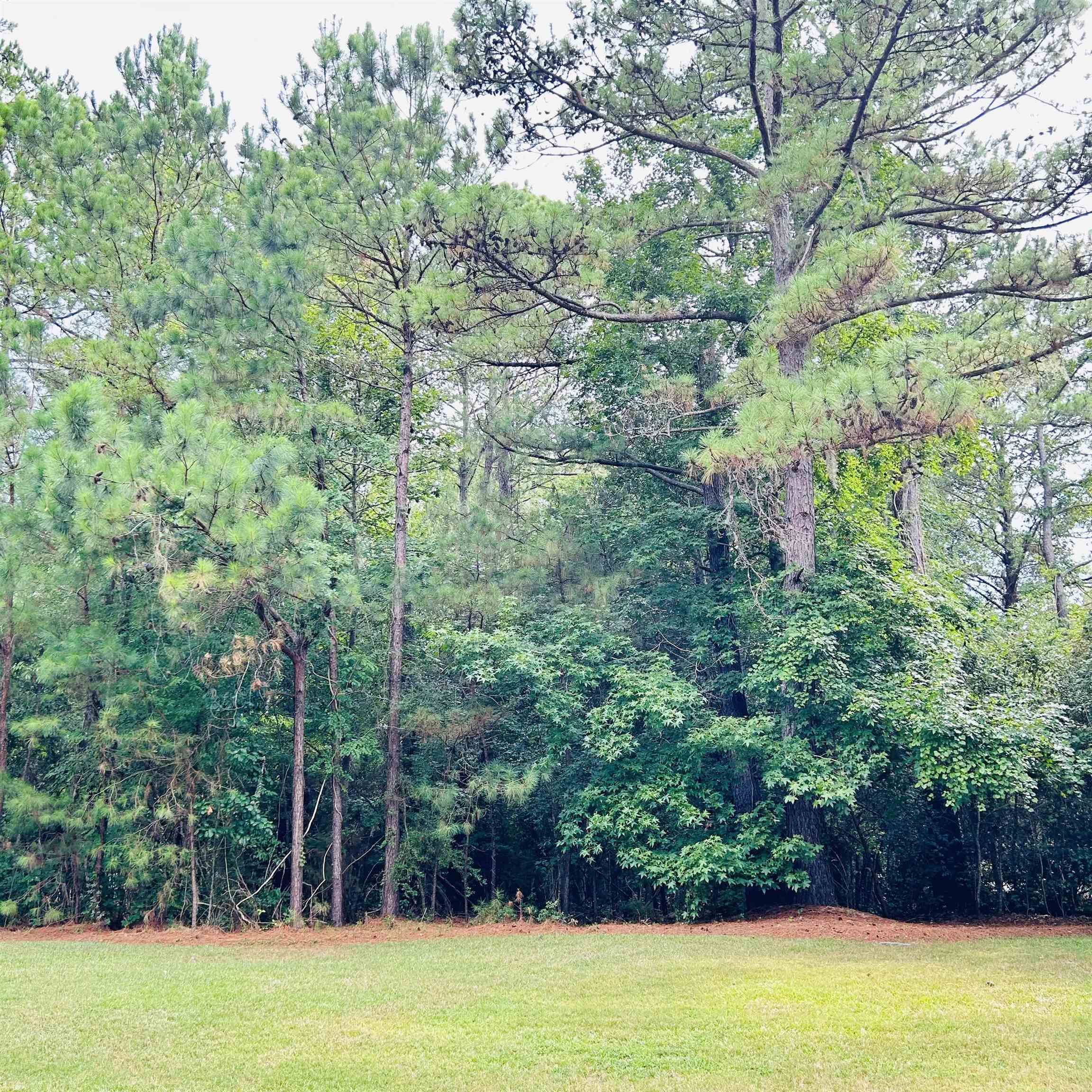 18 Monarch Ct. Property Photo 2