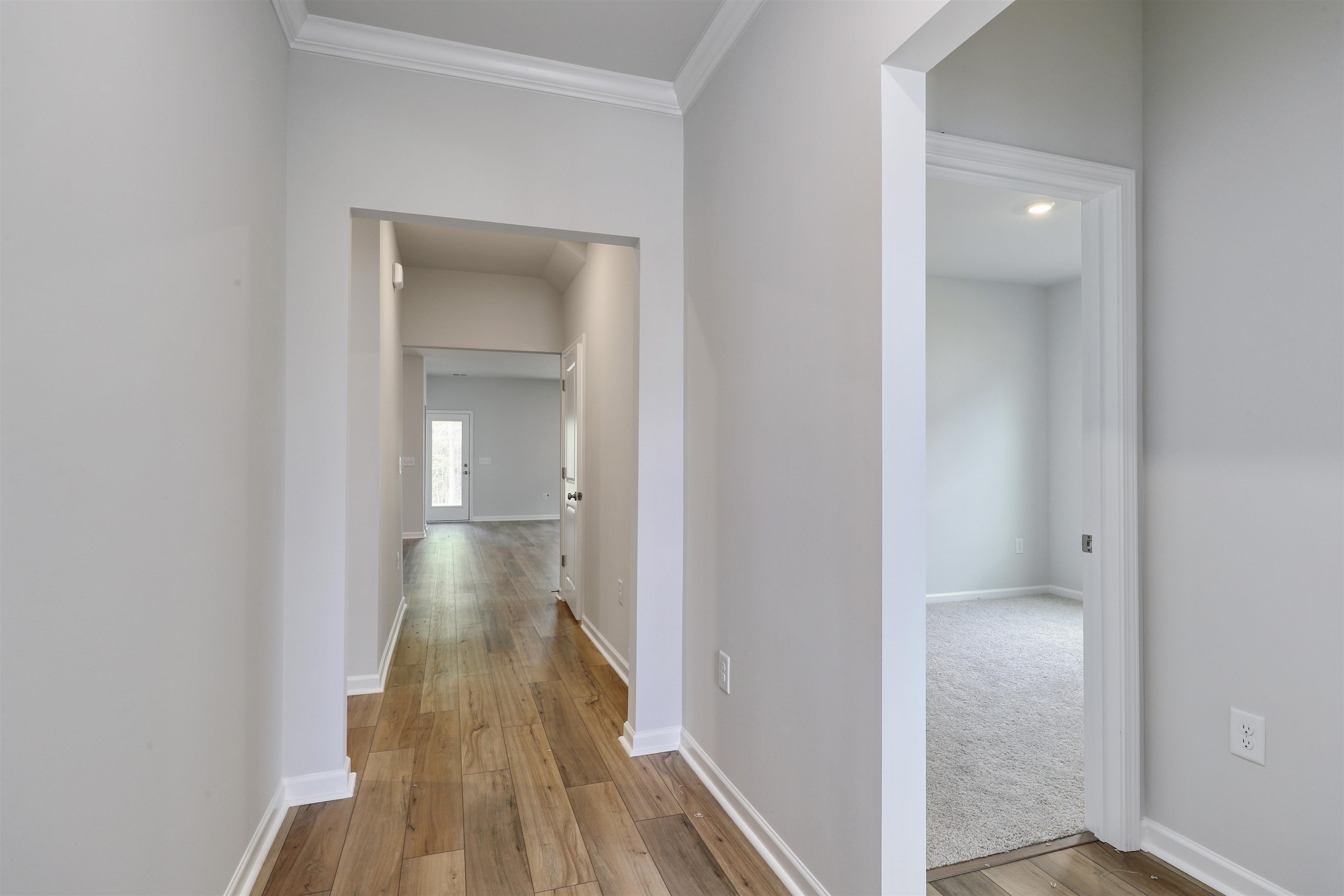 423 Atamasco Ct. Property Photo 19