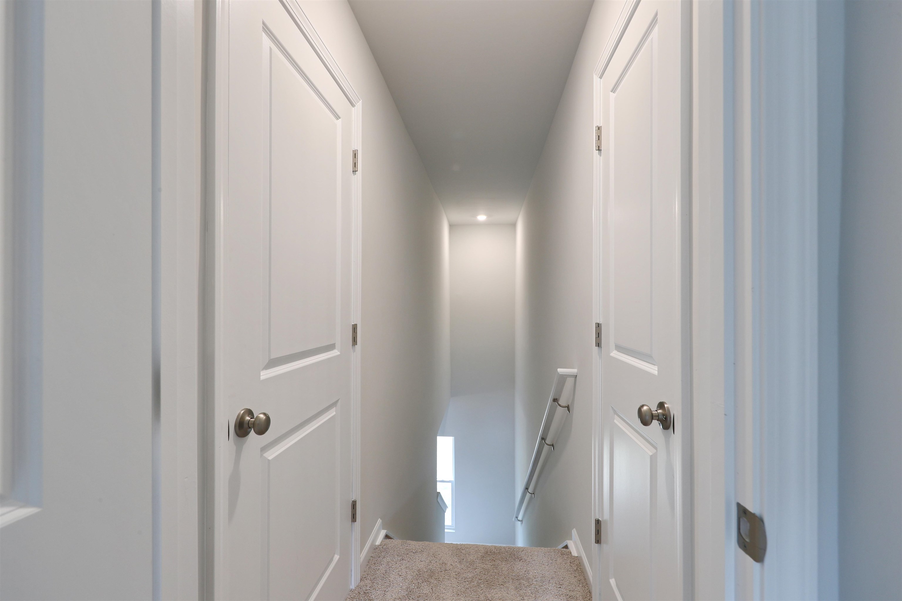 423 Atamasco Ct. Property Photo 25