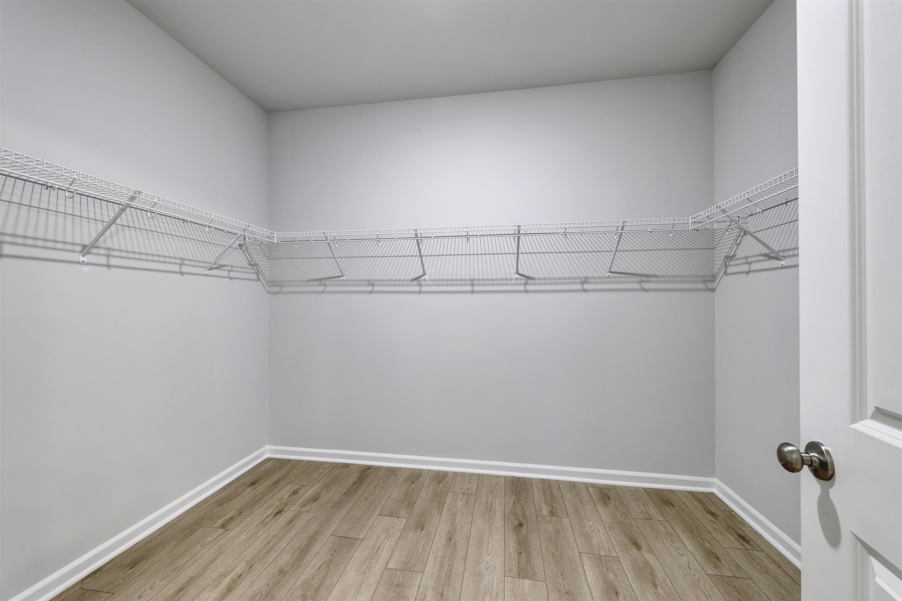 427 Atamasco Ct. Property Photo 20