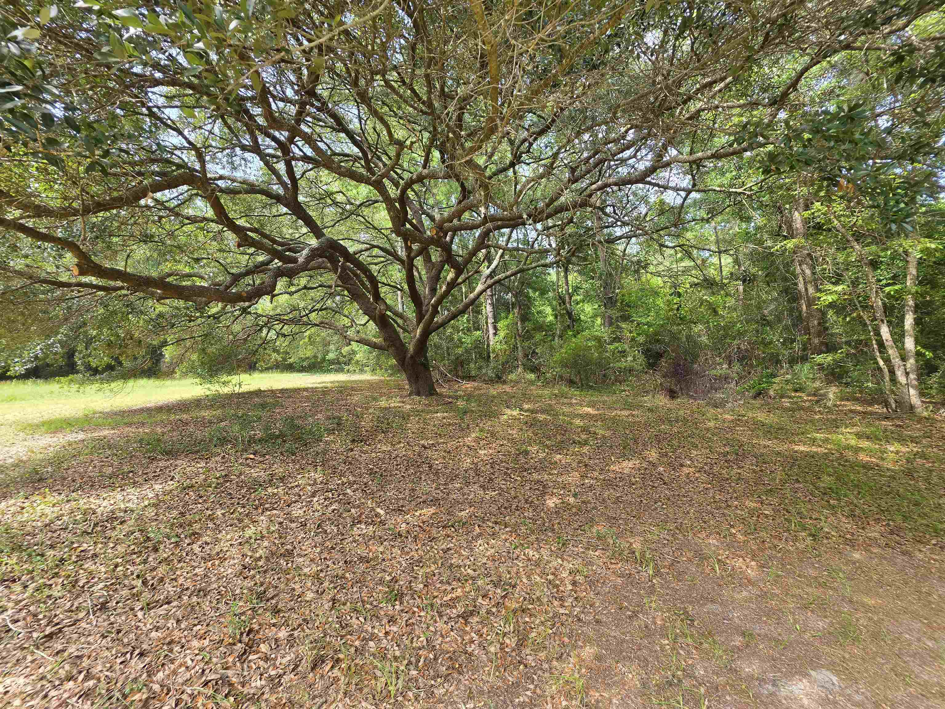 1124 Sallie Manigault Ln Property Photo 7