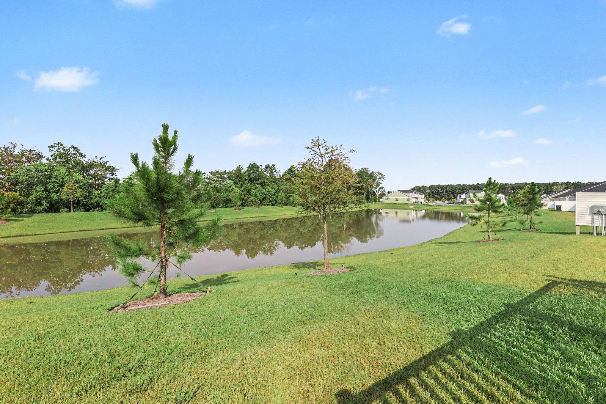 1119 Blueback Herring Way Property Photo 21
