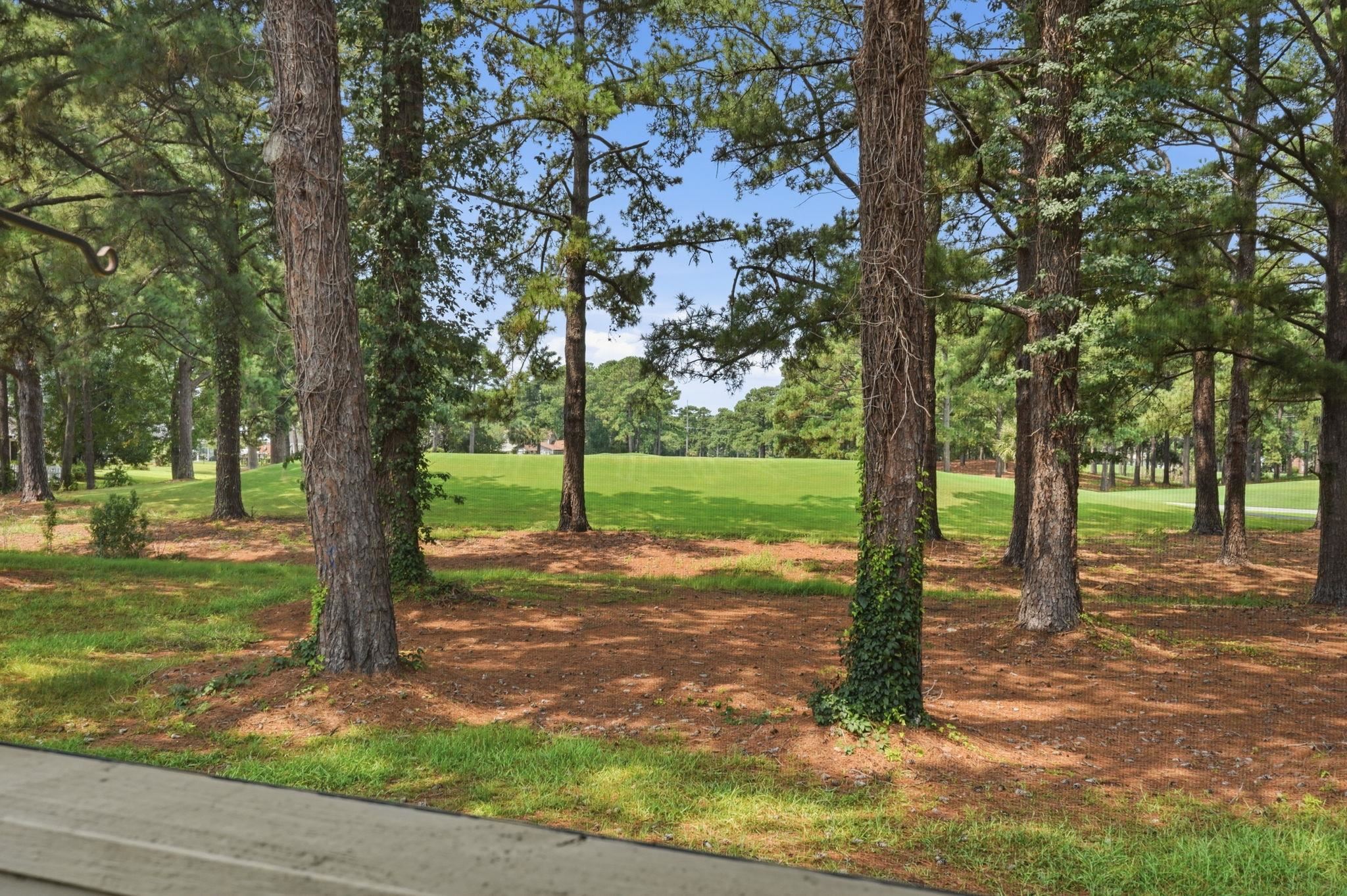 3015 Old Bryan Dr. Property Photo 27