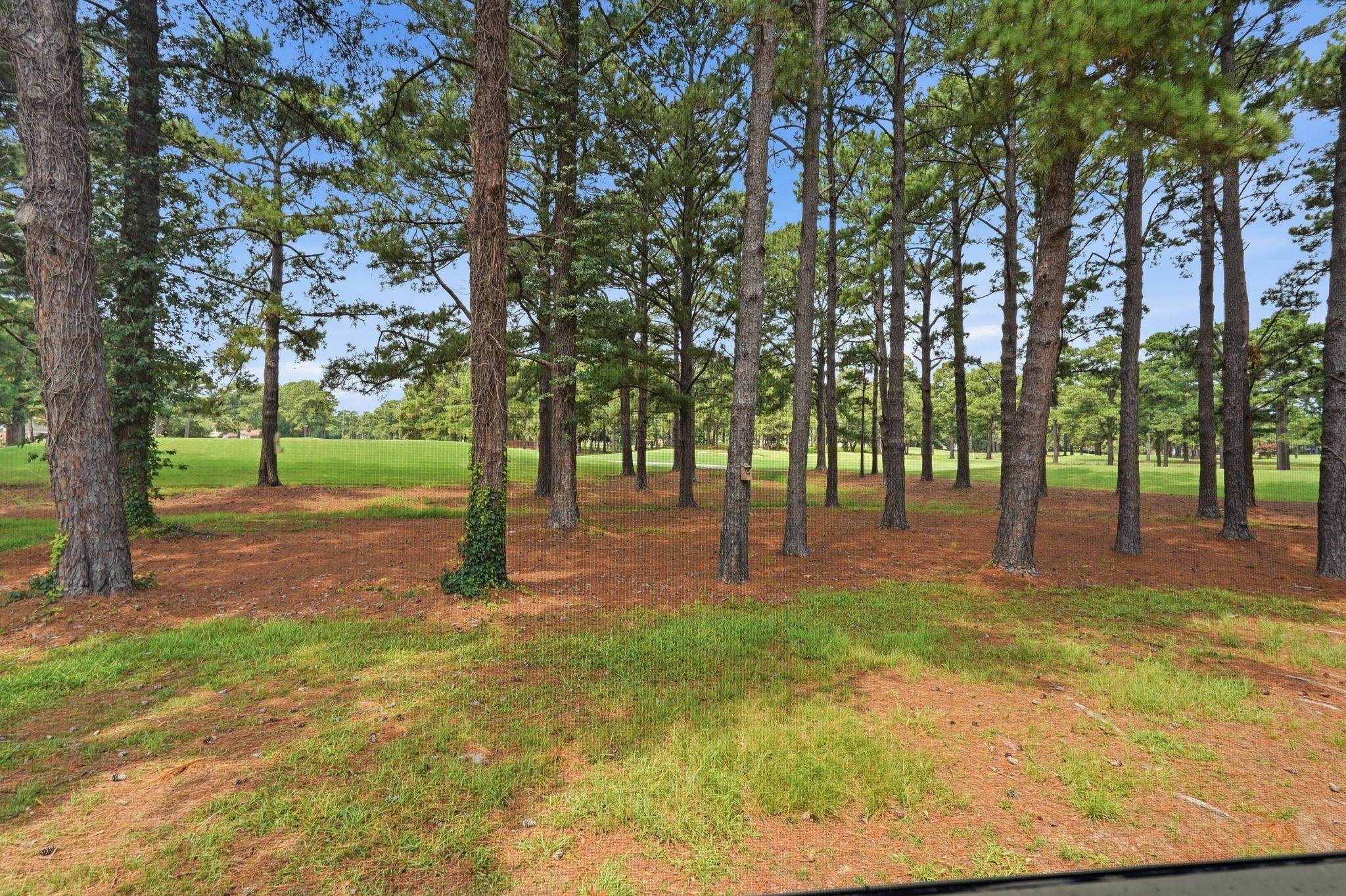 3015 Old Bryan Dr. Property Photo 28