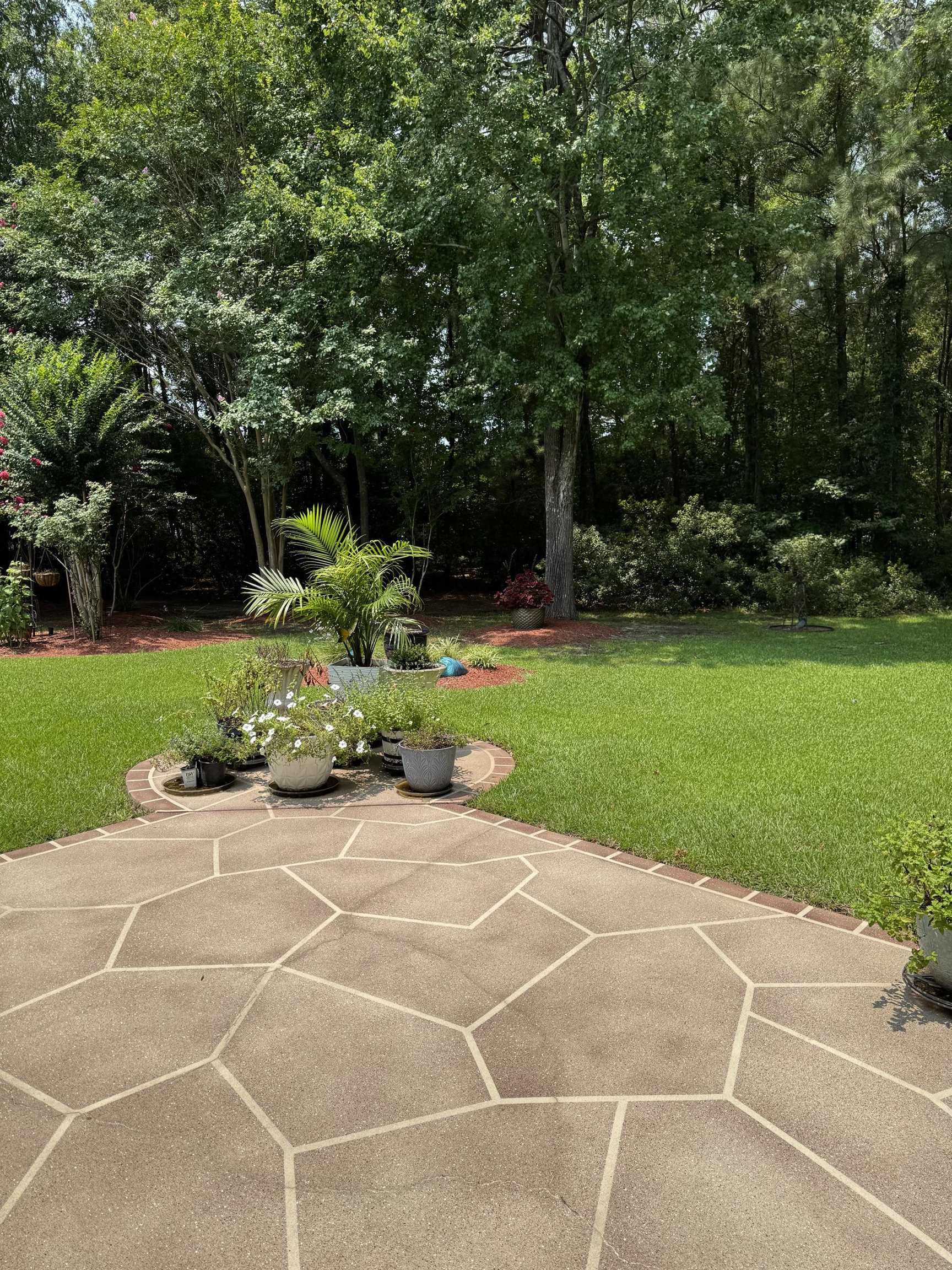 908 Adaline Ct. Property Photo 9