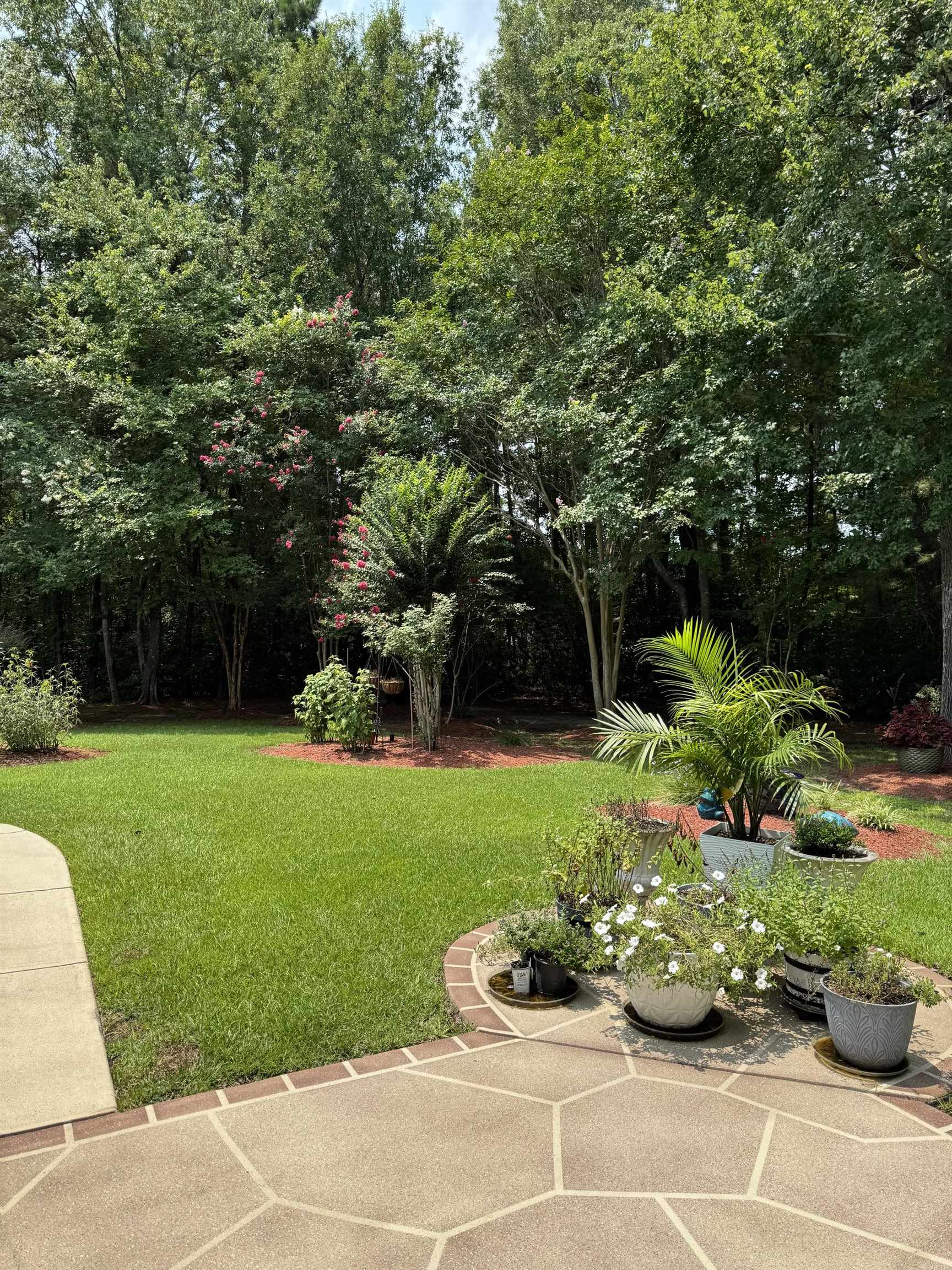 908 Adaline Ct. Property Photo 10