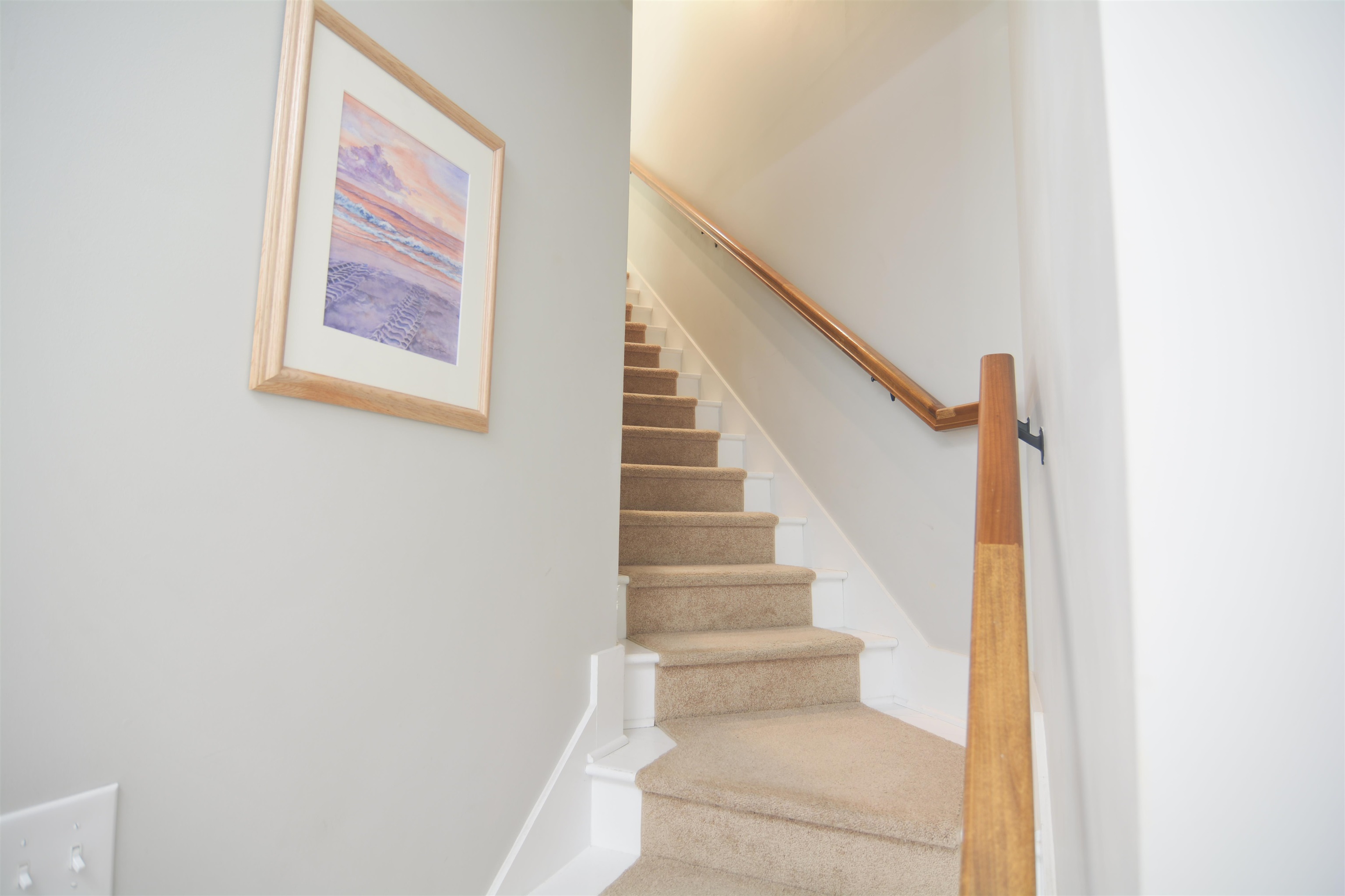 573 Olde Mill Dr. Property Photo 19