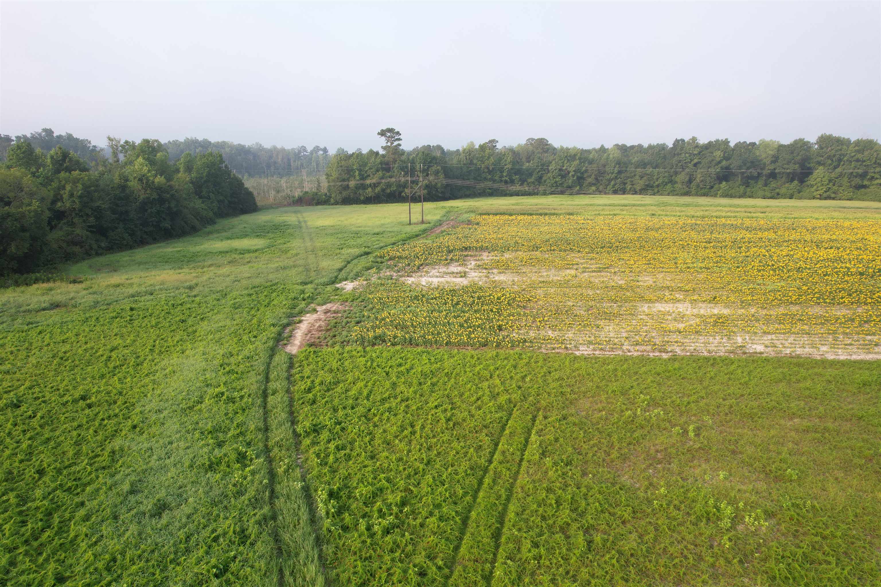 9.58 Acres - S Deerfield Rd. Property Photo 1
