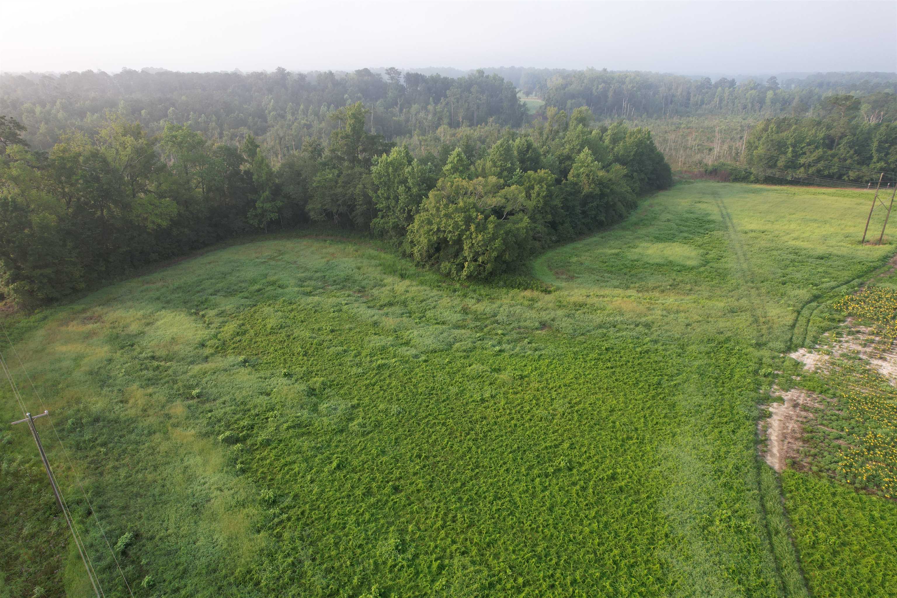 9.58 Acres - S Deerfield Rd. Property Photo 2