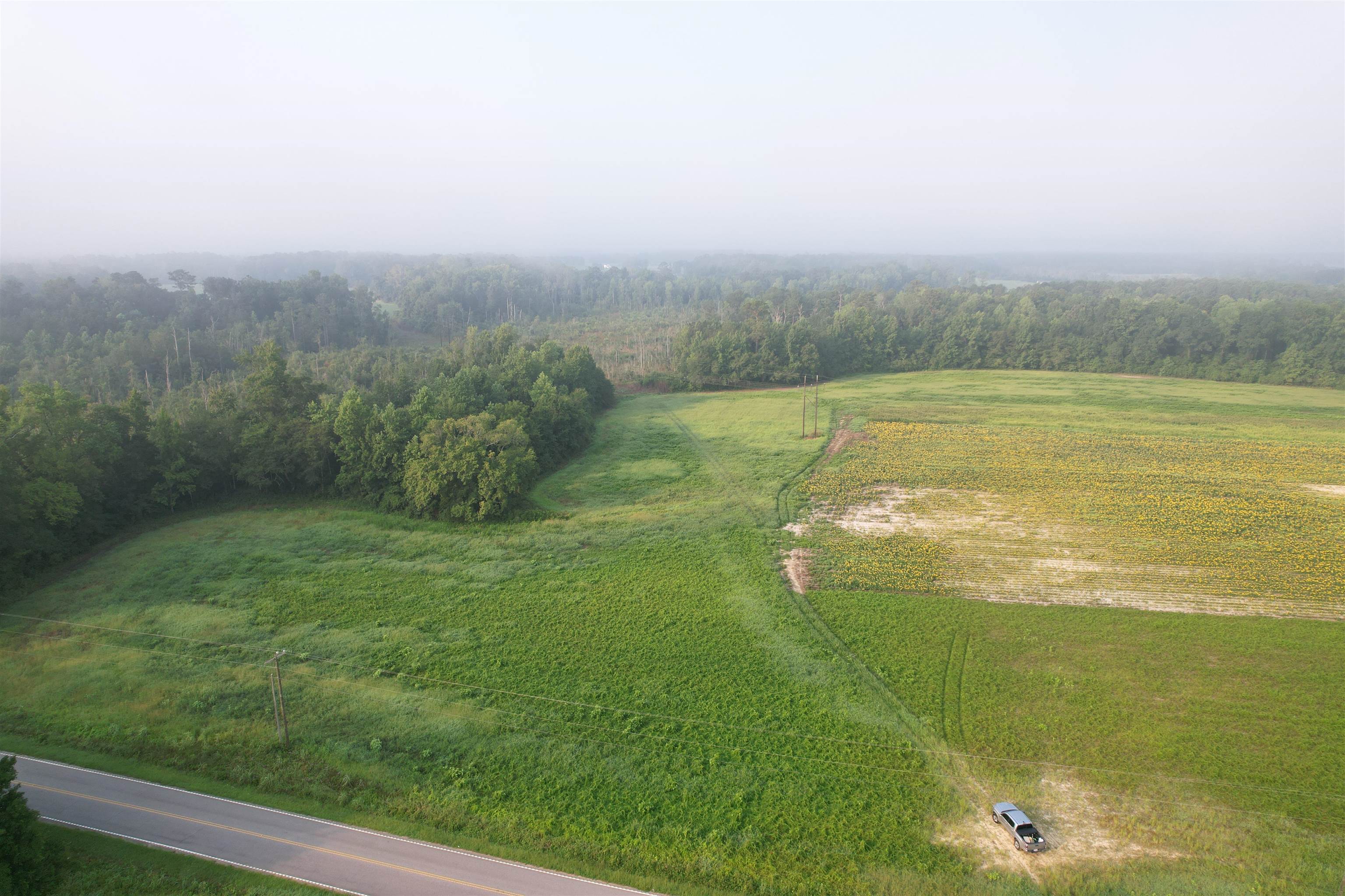 9.58 Acres - S Deerfield Rd. Property Photo 3