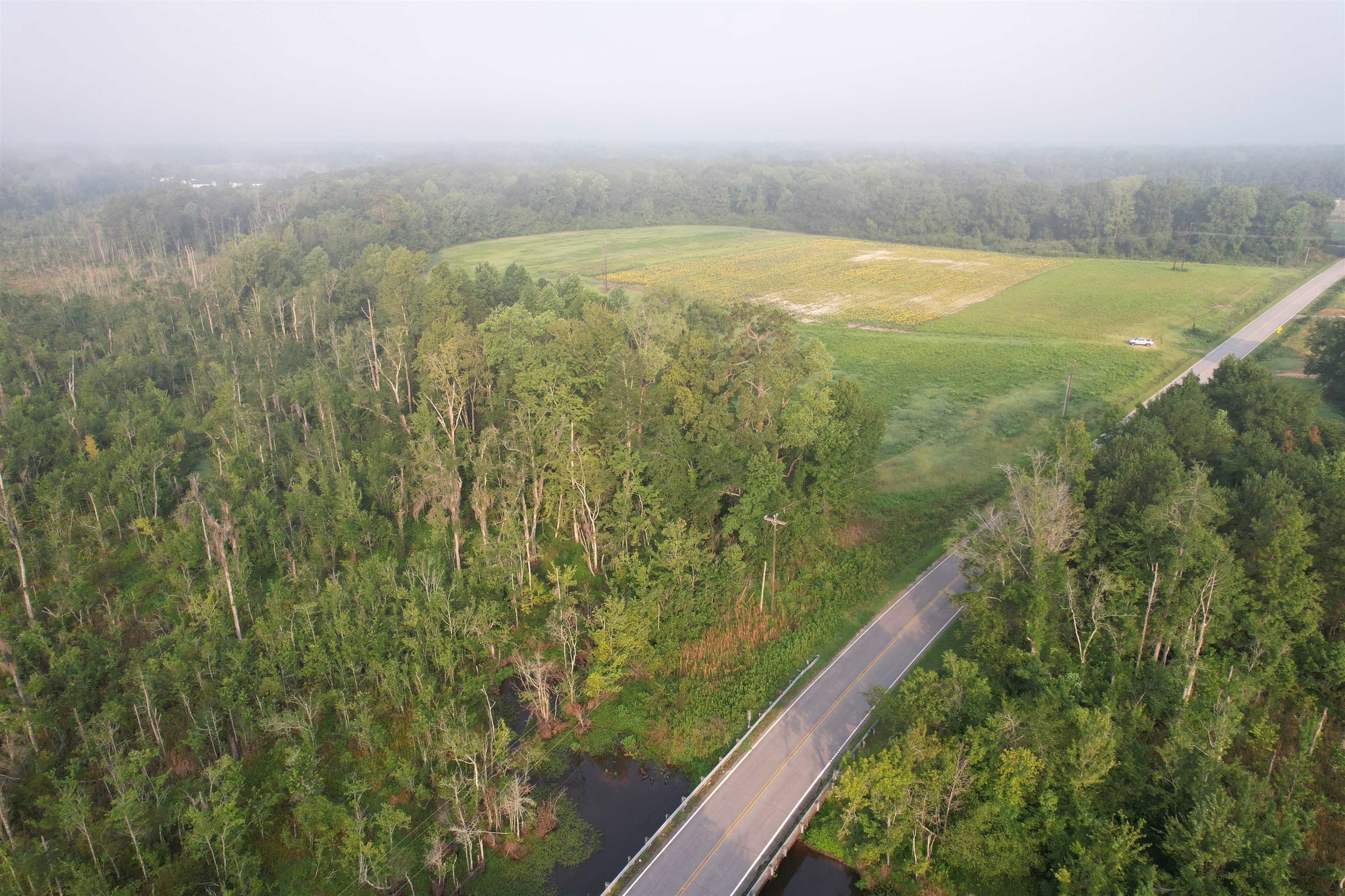 9.58 Acres - S Deerfield Rd. Property Photo 4