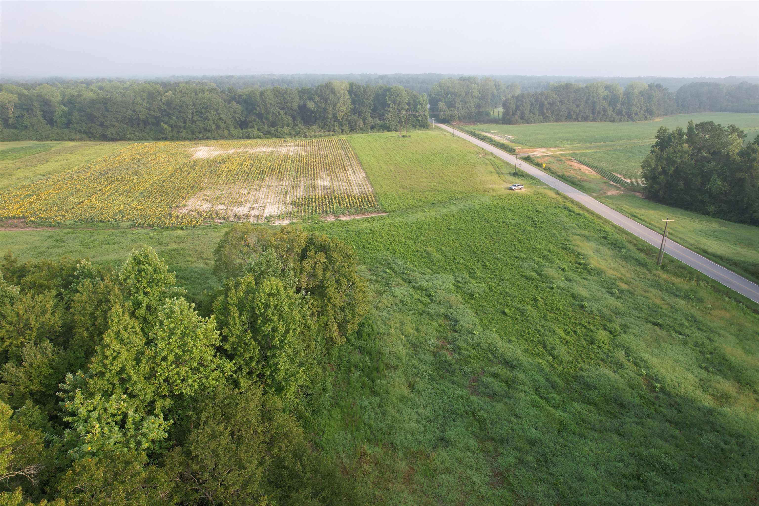 9.58 Acres - S Deerfield Rd. Property Photo 5